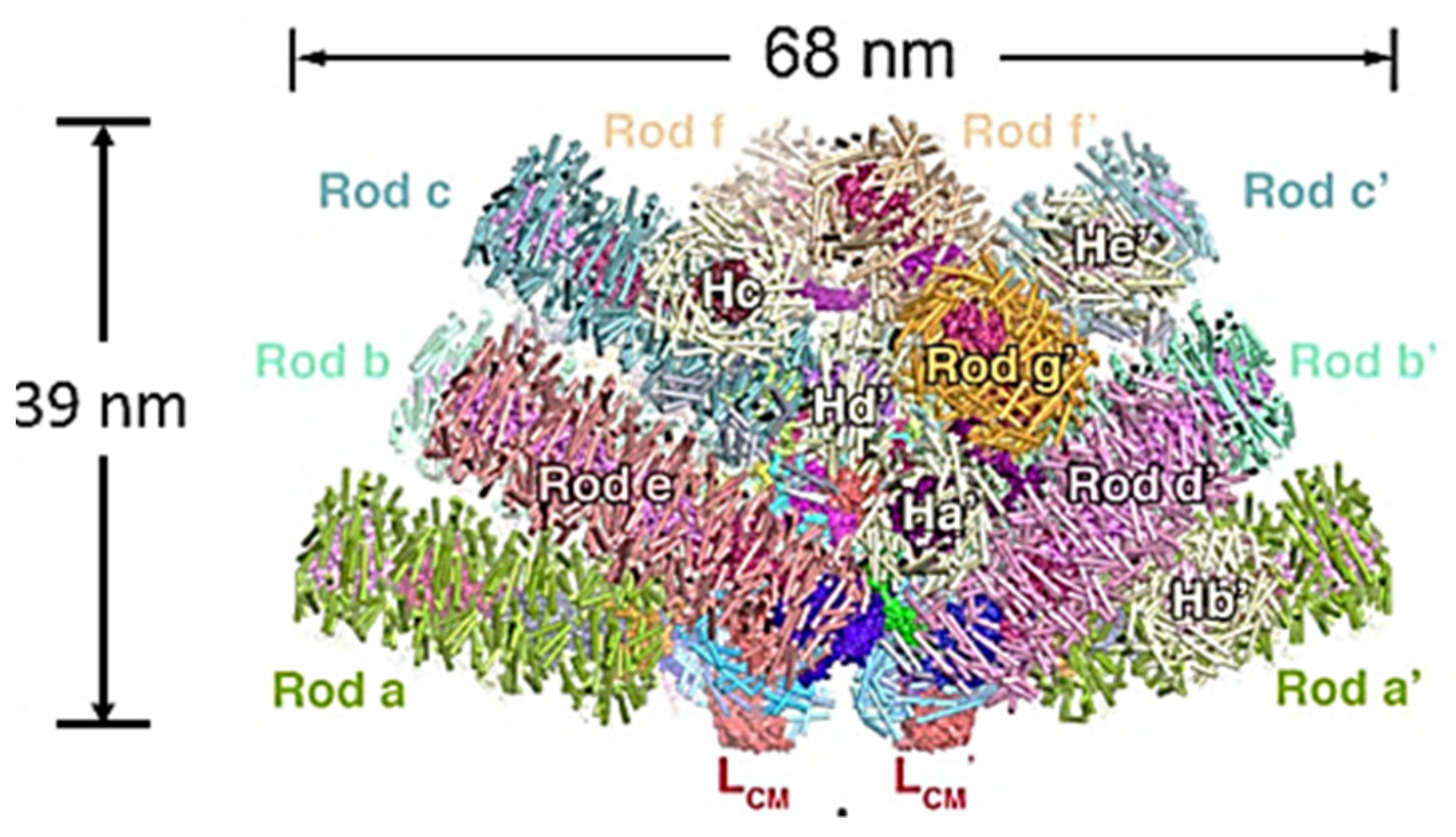 Biomolecules 09 00748 g003