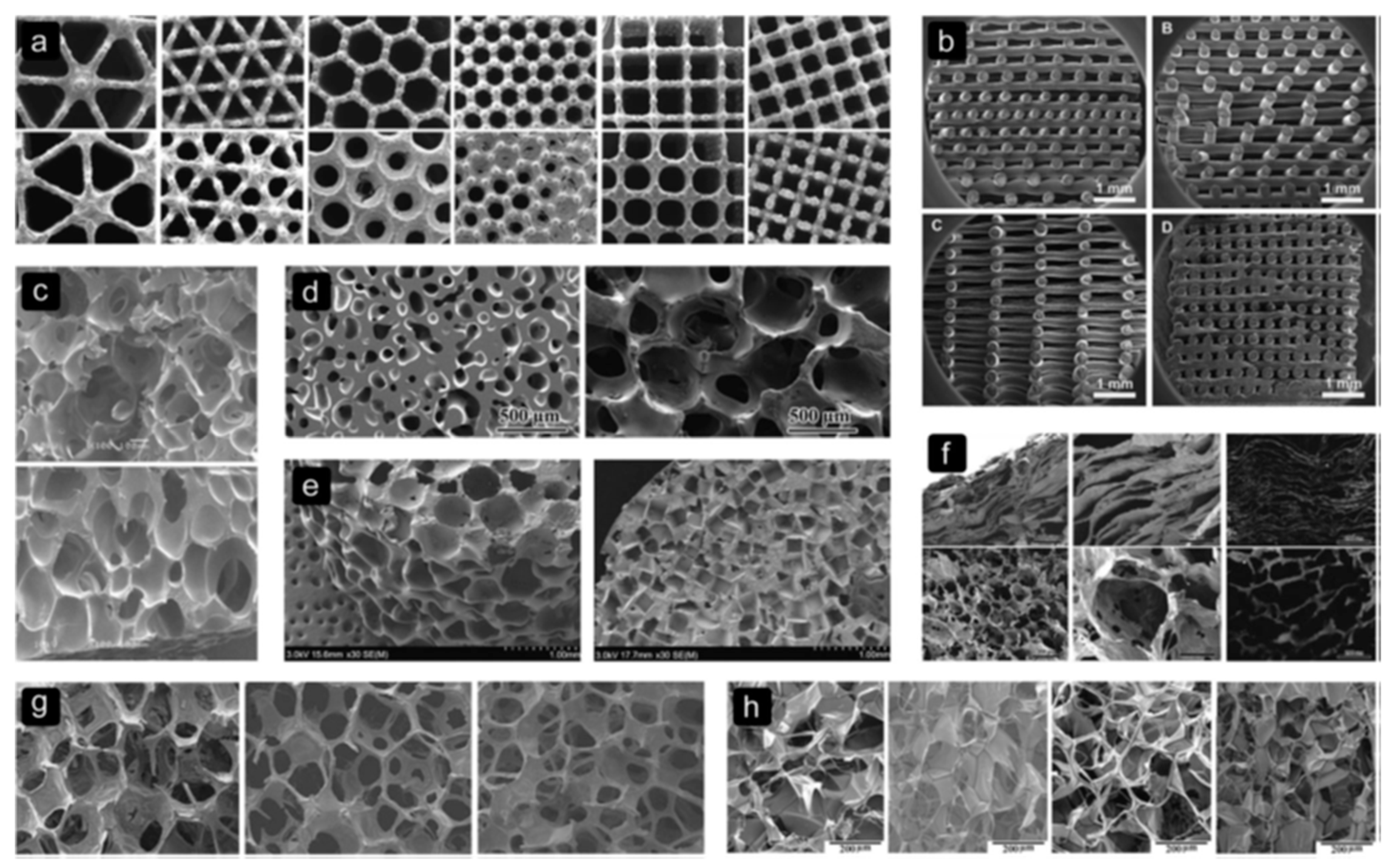 Biomolecules 09 00750 g002 Biomolecules 09 00750 g002