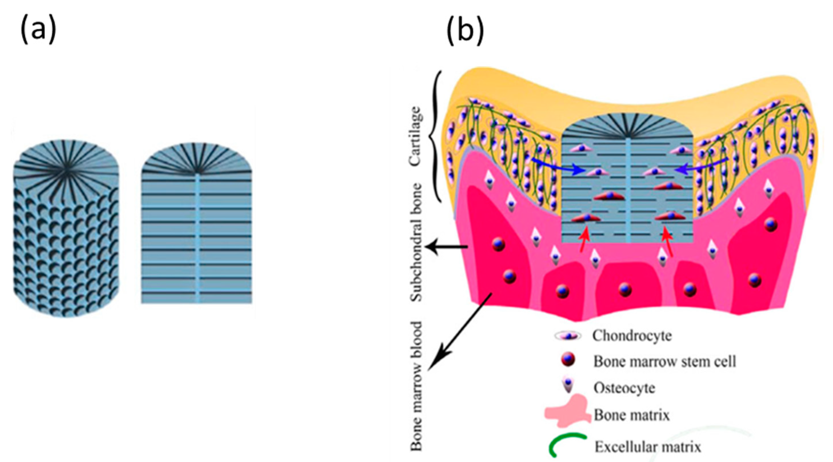 Biomolecules 09 00750 g003 Biomolecules 09 00750 g003