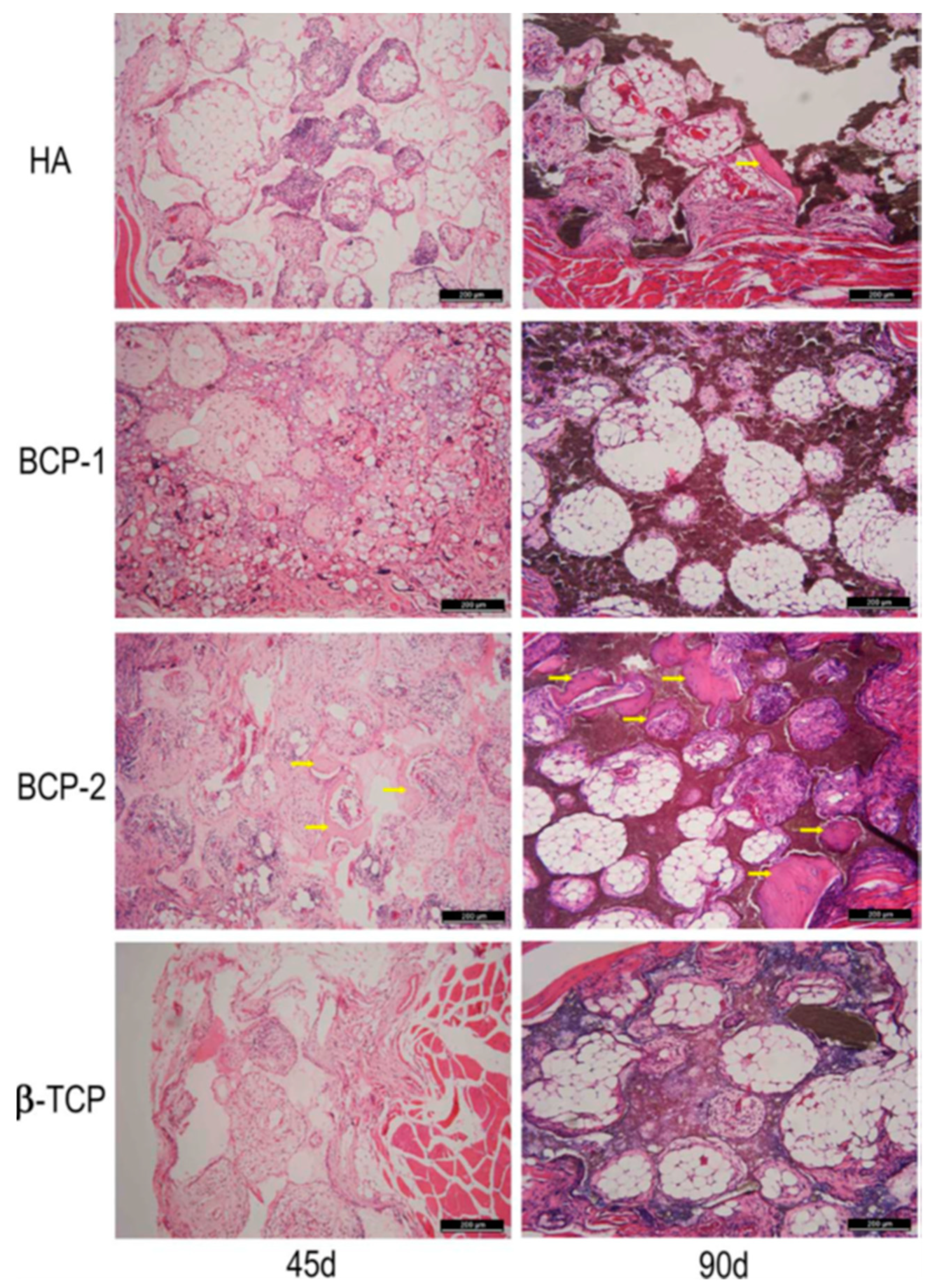 Biomolecules 09 00750 g005 Biomolecules 09 00750 g005