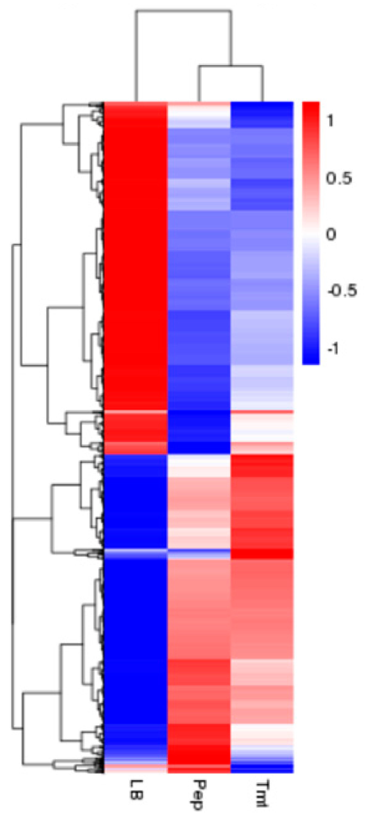 Biomolecules 09 00753 g001 Biomolecules 09 00753 g001