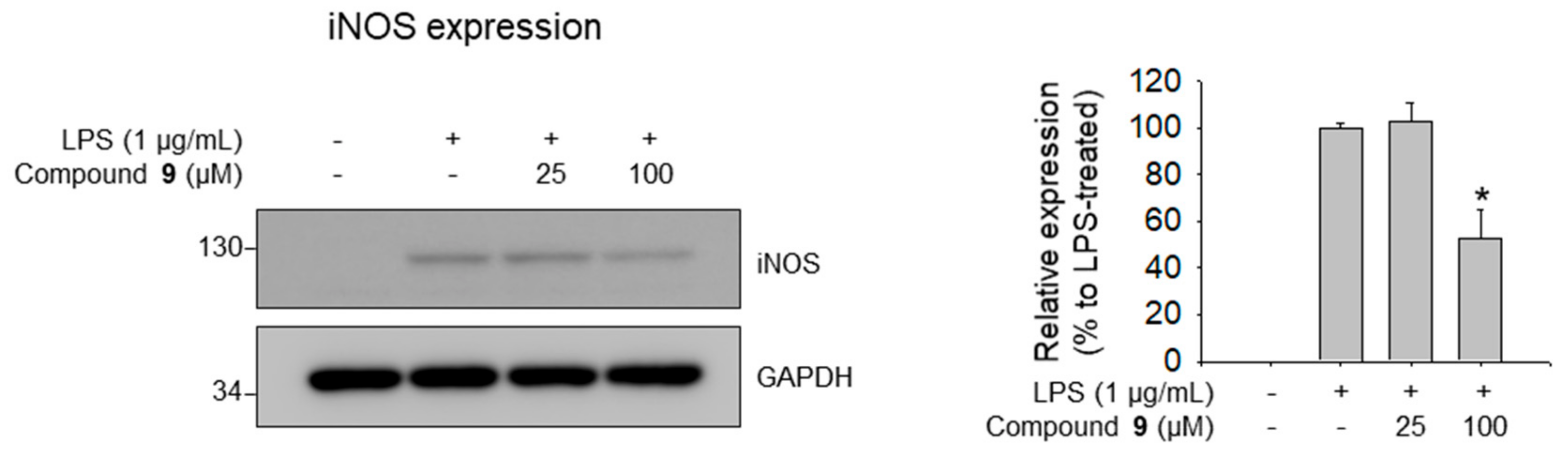 Biomolecules 09 00755 g008 550