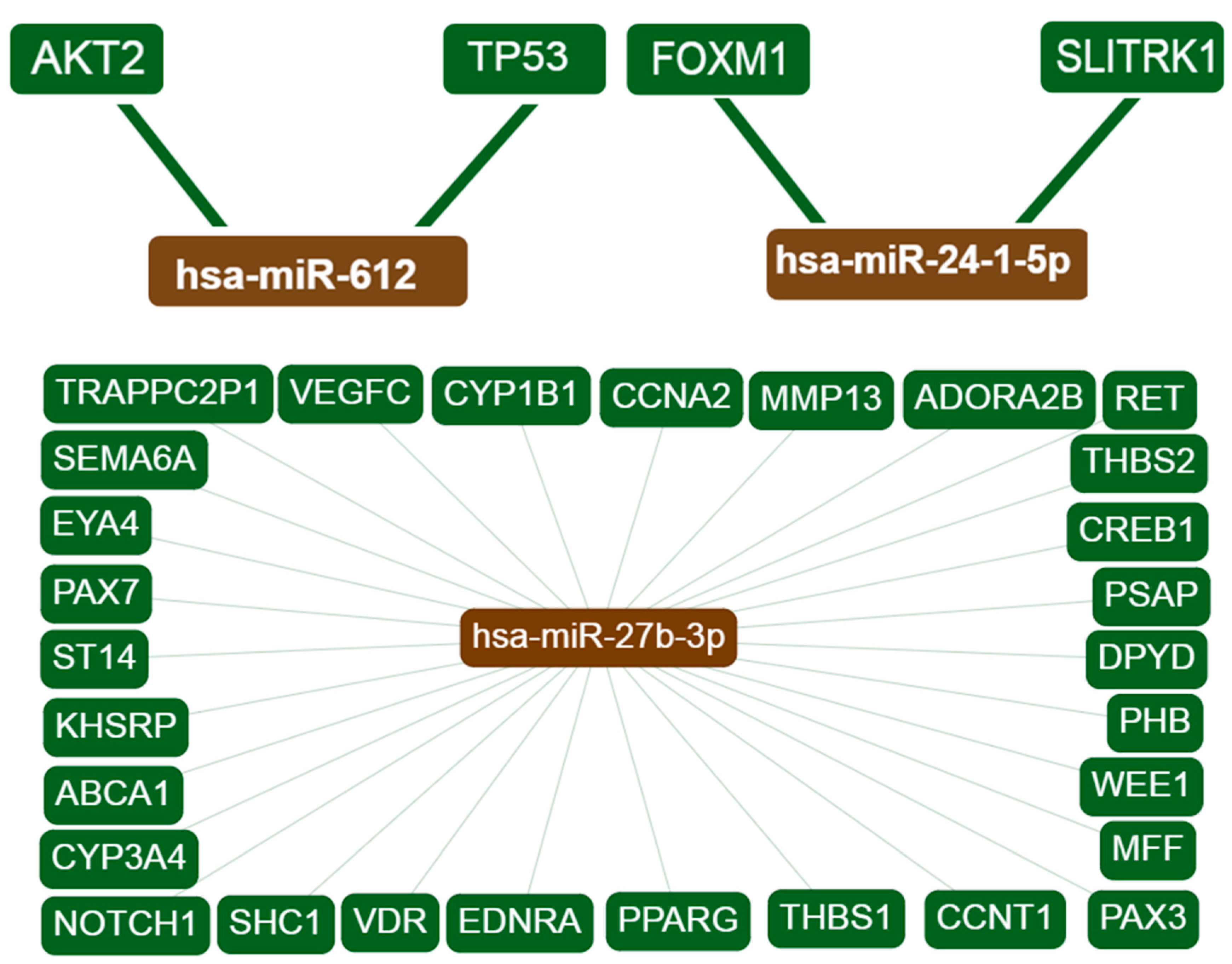 Biomolecules 09 00757 g001