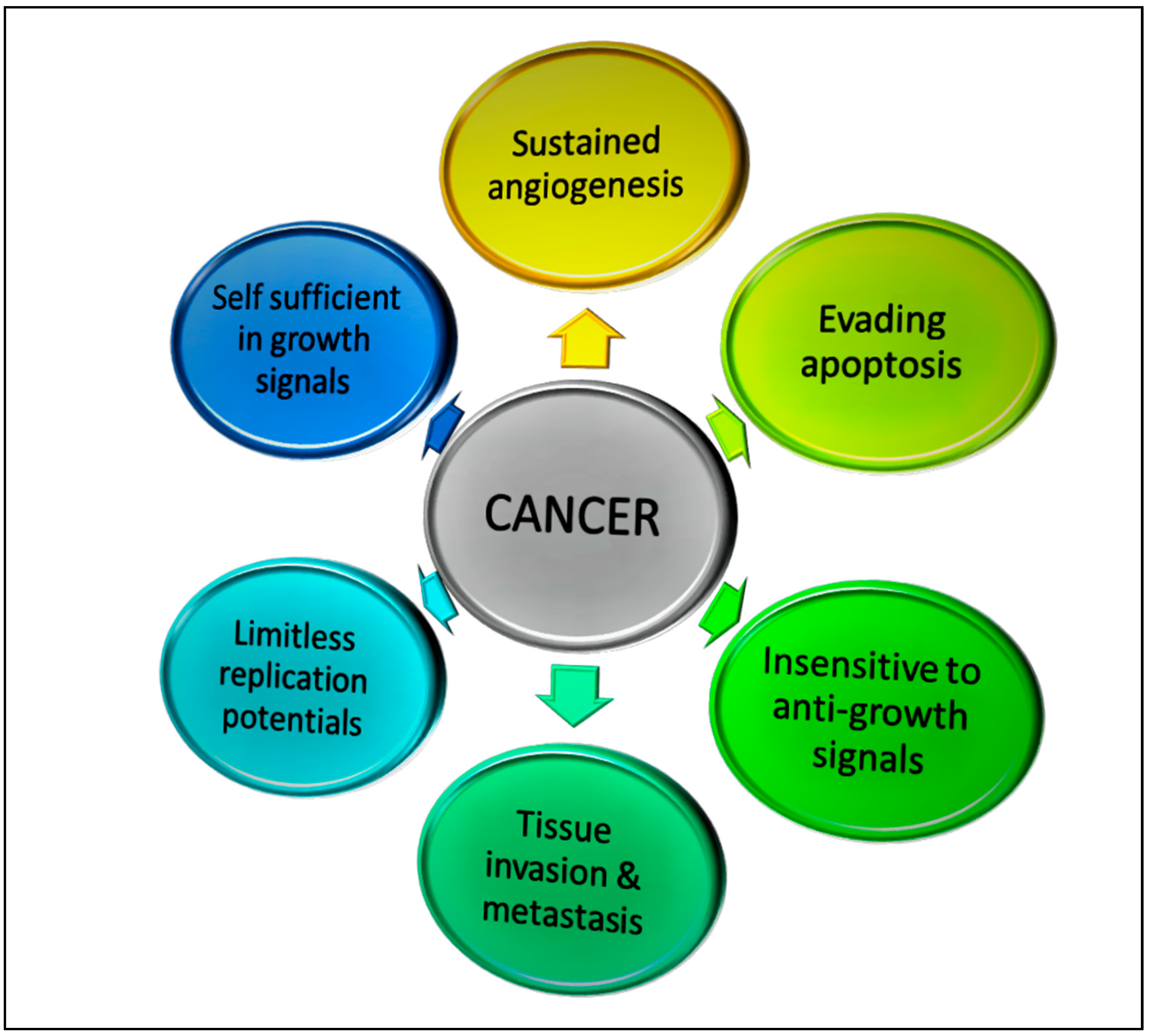 Biomolecules 09 00758 g001