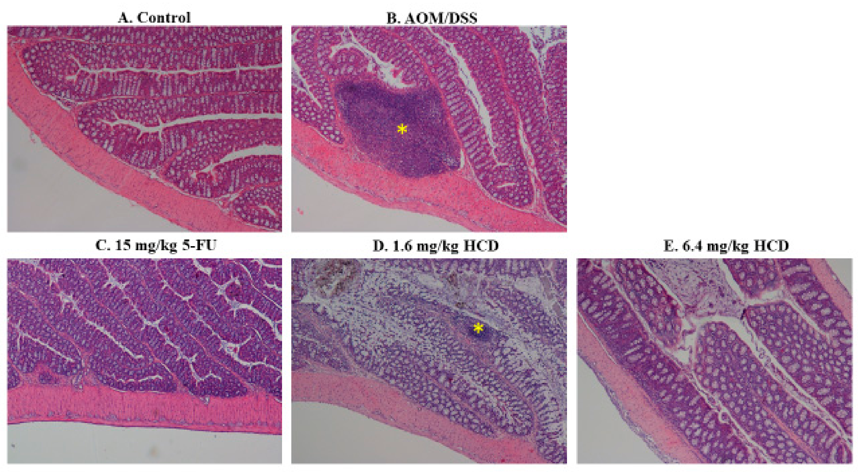 Biomolecules 09 00762 g002 Biomolecules 09 00762 g002