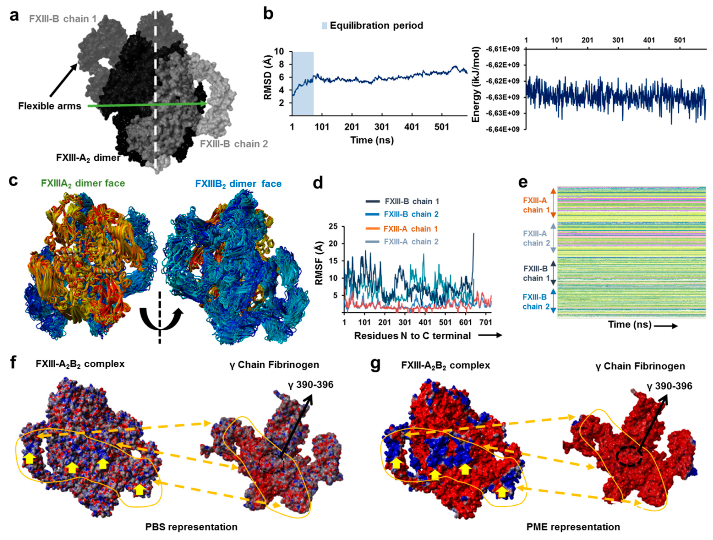 Biomolecules 09 00765 g003 Biomolecules 09 00765 g003