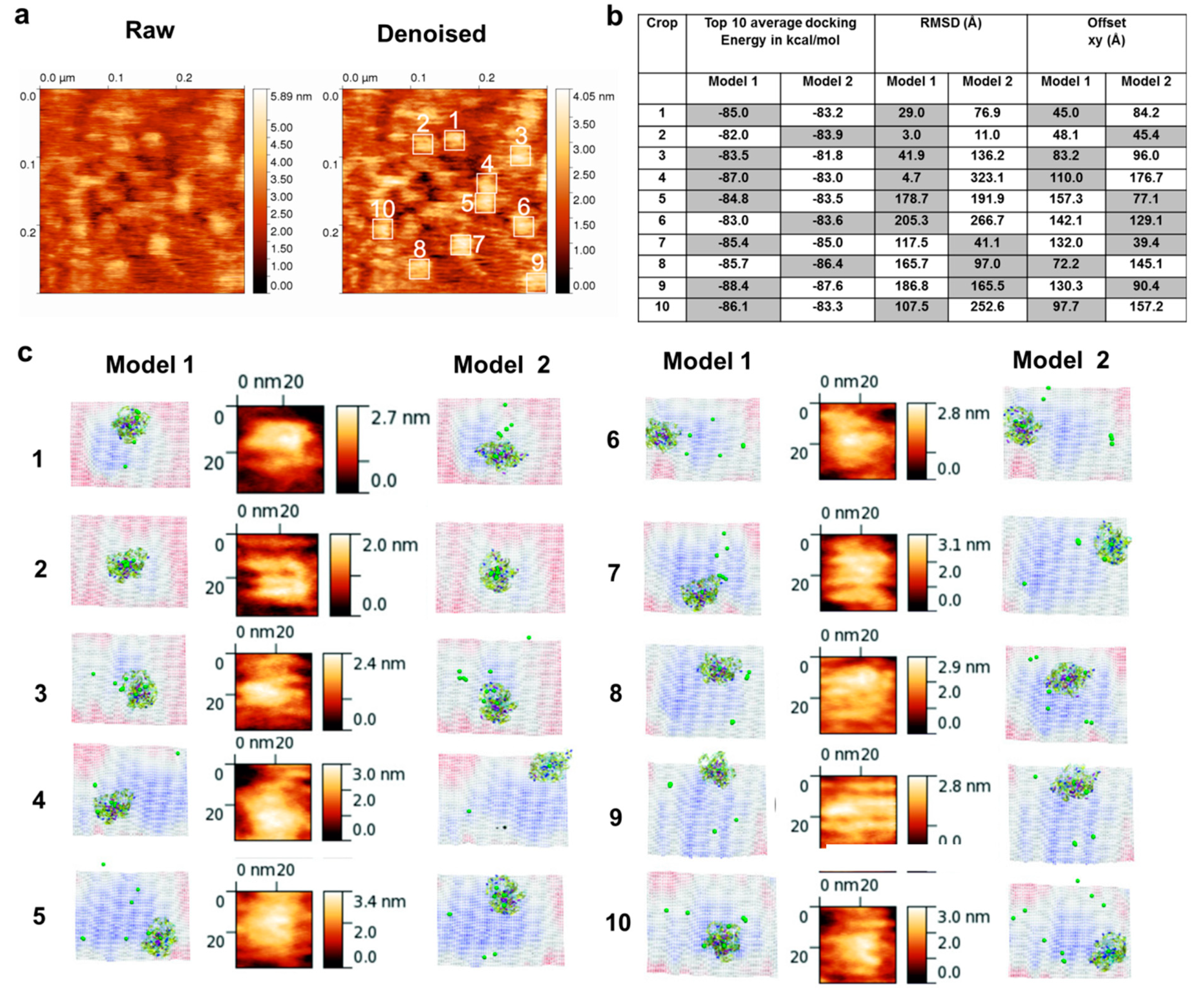 Biomolecules 09 00765 g004 Biomolecules 09 00765 g004
