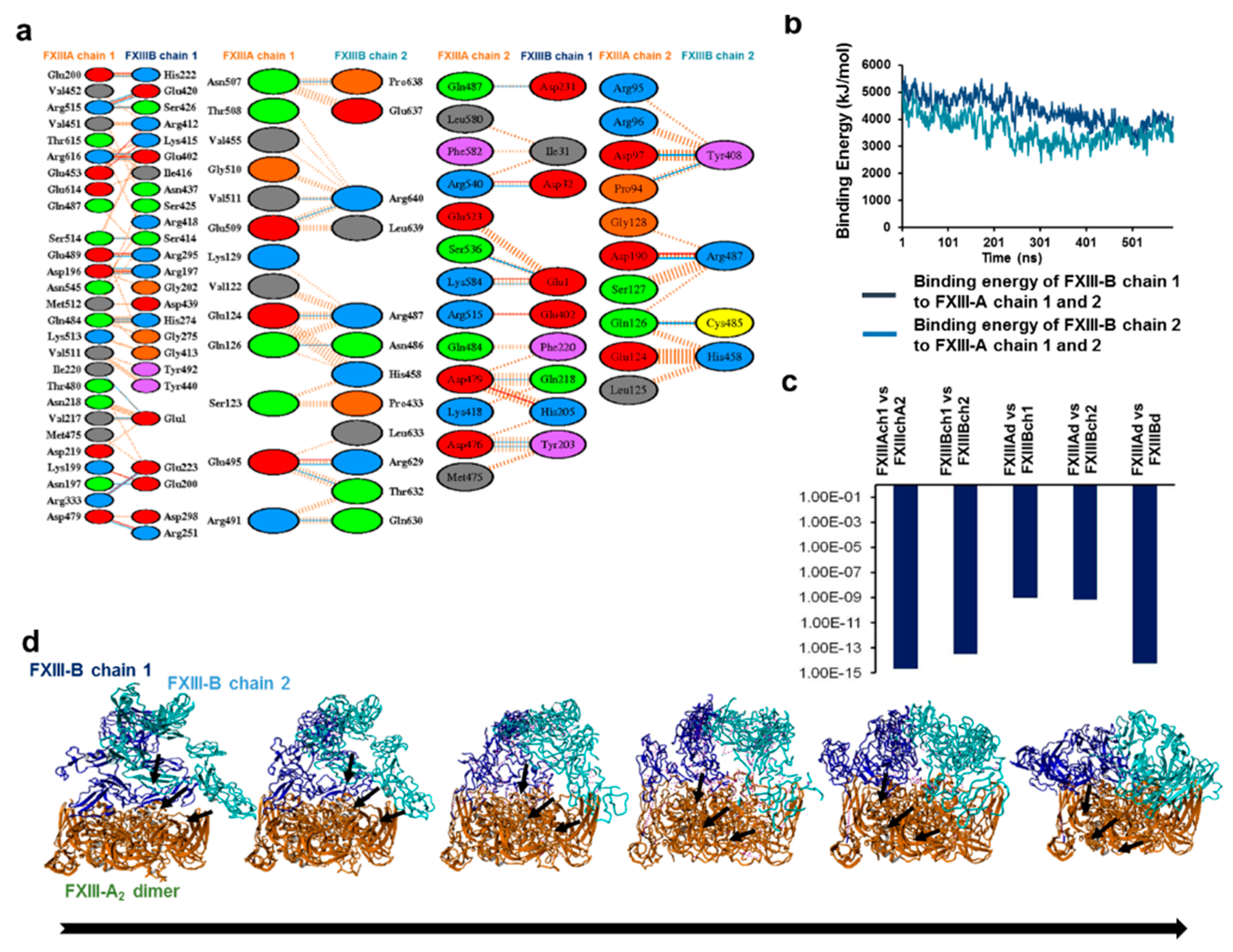 Biomolecules 09 00765 g005 Biomolecules 09 00765 g005