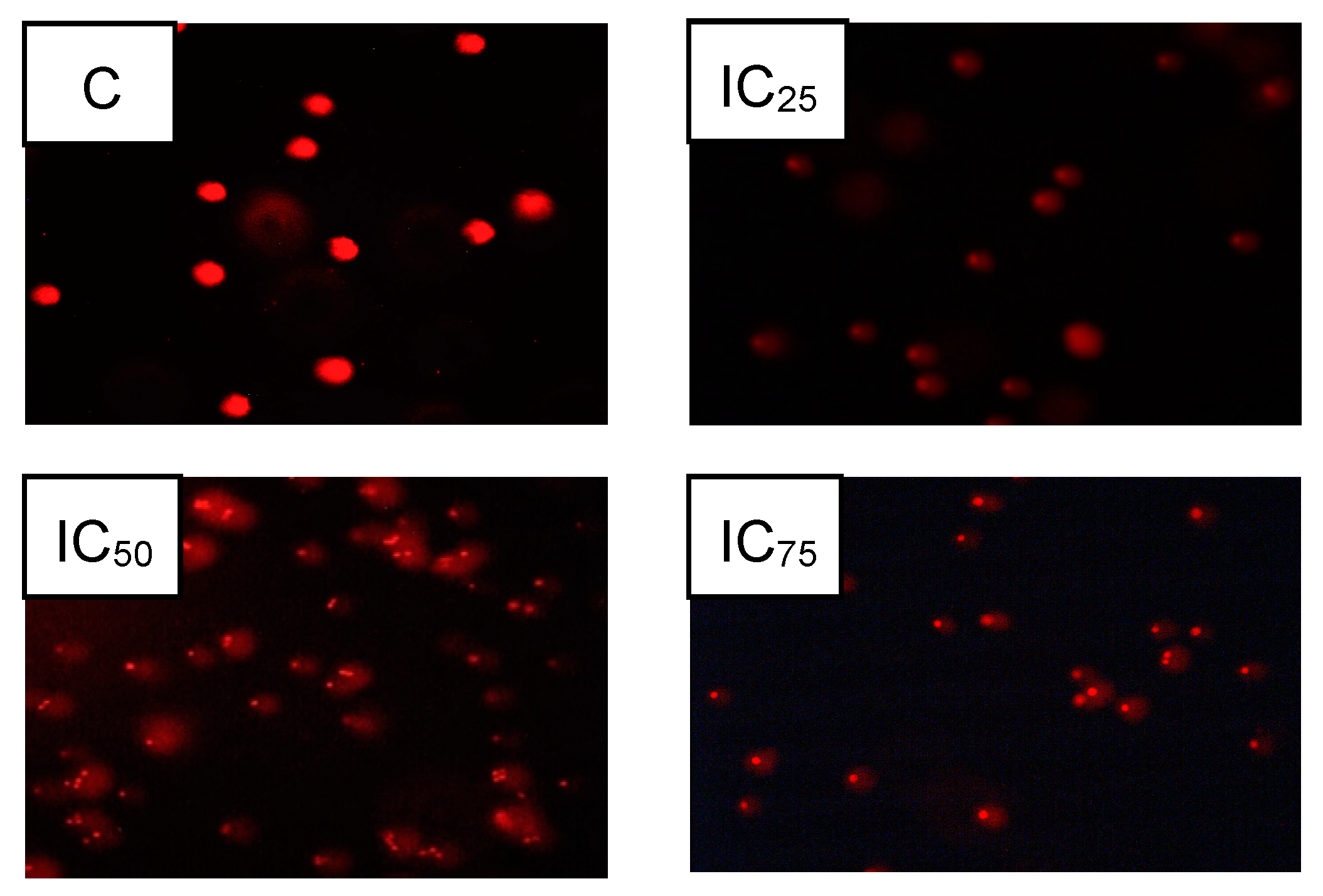 Biomolecules 09 00767 g007b