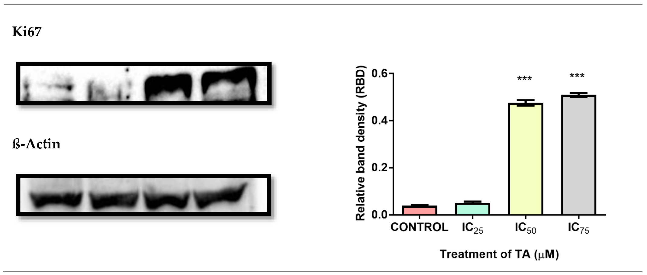 Biomolecules 09 00767 g008
