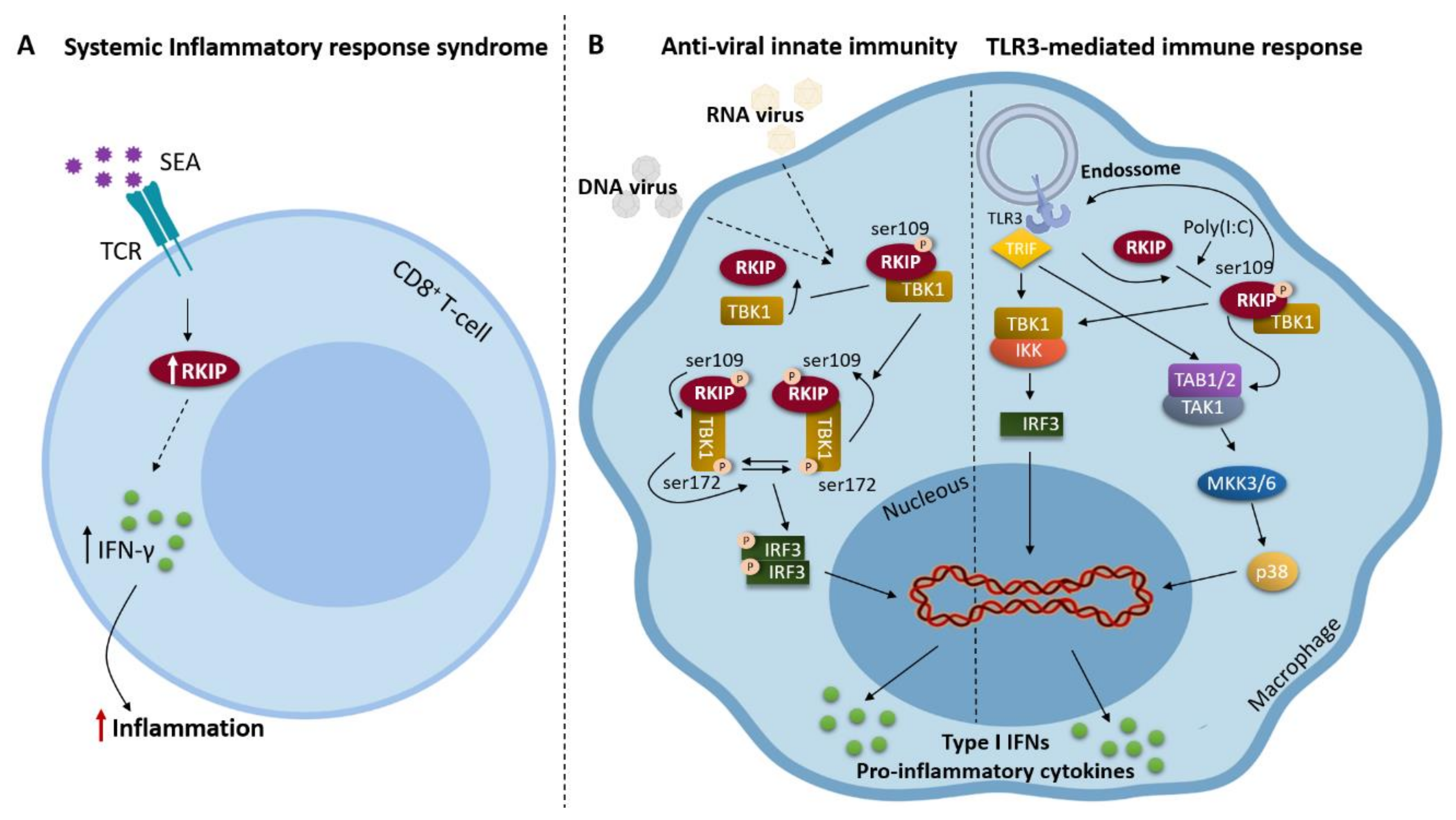 Biomolecules 09 00769 g002 Biomolecules 09 00769 g002