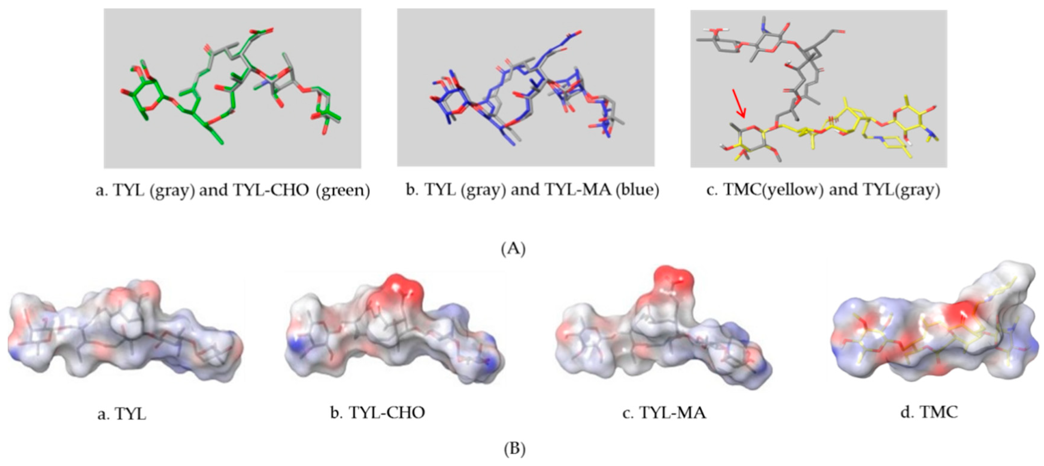 Biomolecules 09 00770 g002