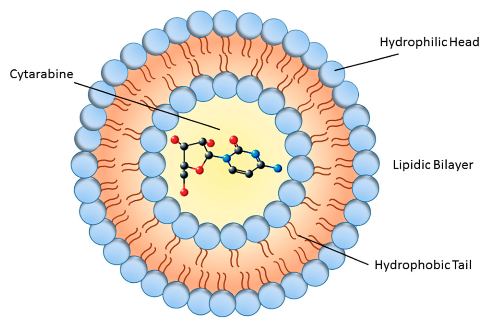 Biomolecules 09 00773 g001