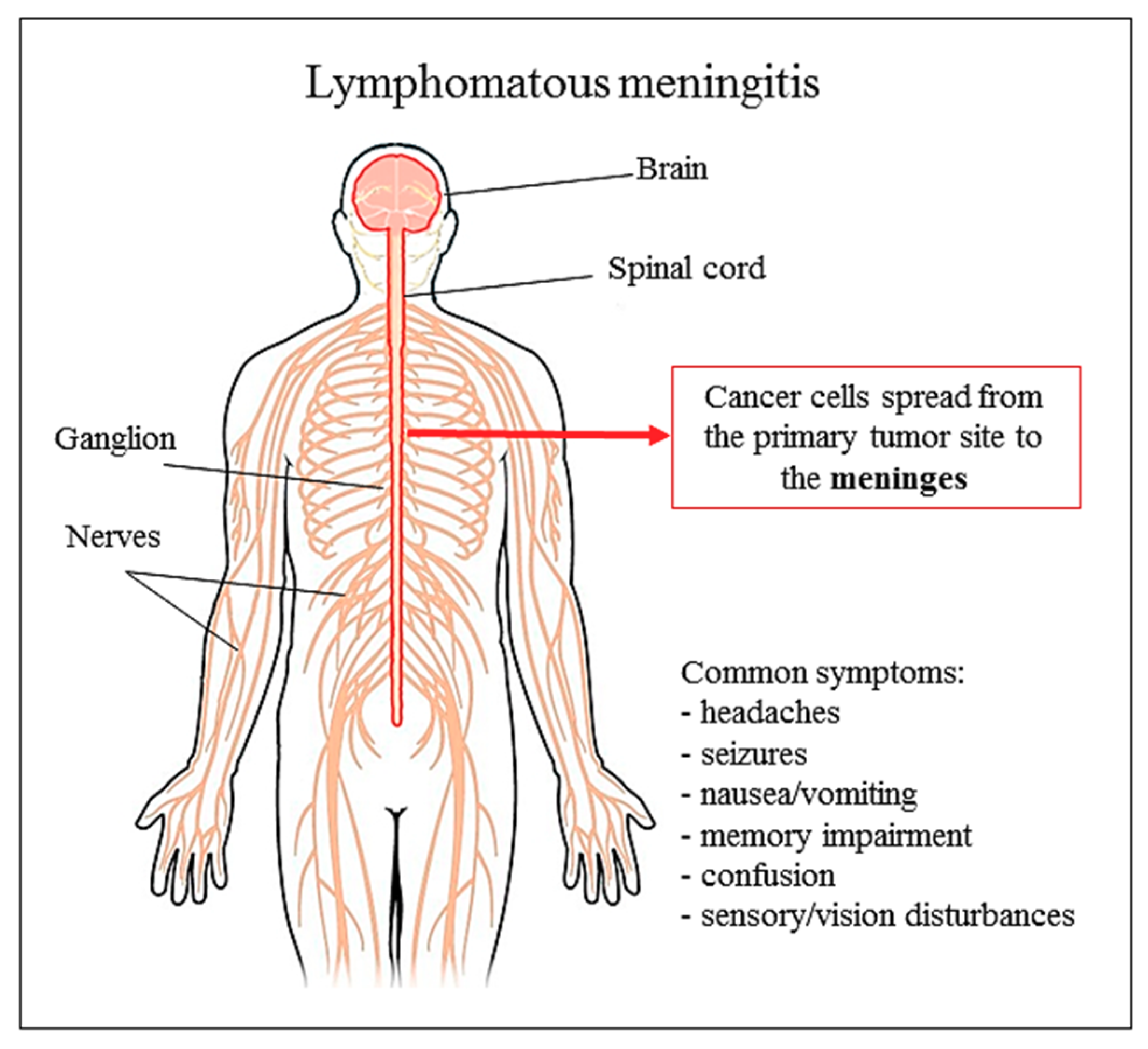 Biomolecules 09 00773 g002