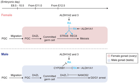 Biomolecules 09 00775 g002 550