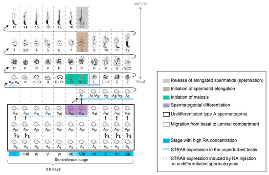 Biomolecules 09 00775 g005 550