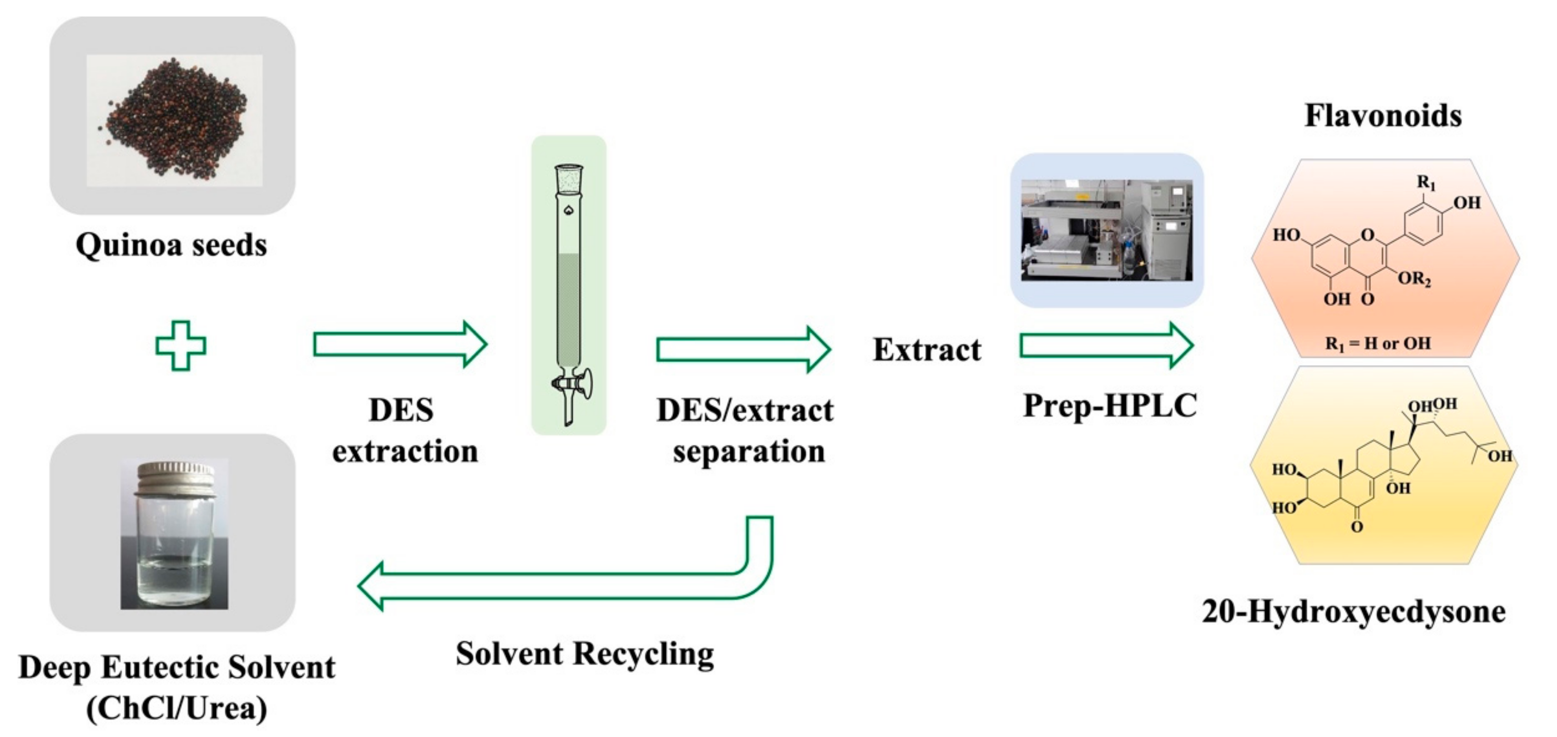 Biomolecules 09 00776 g001