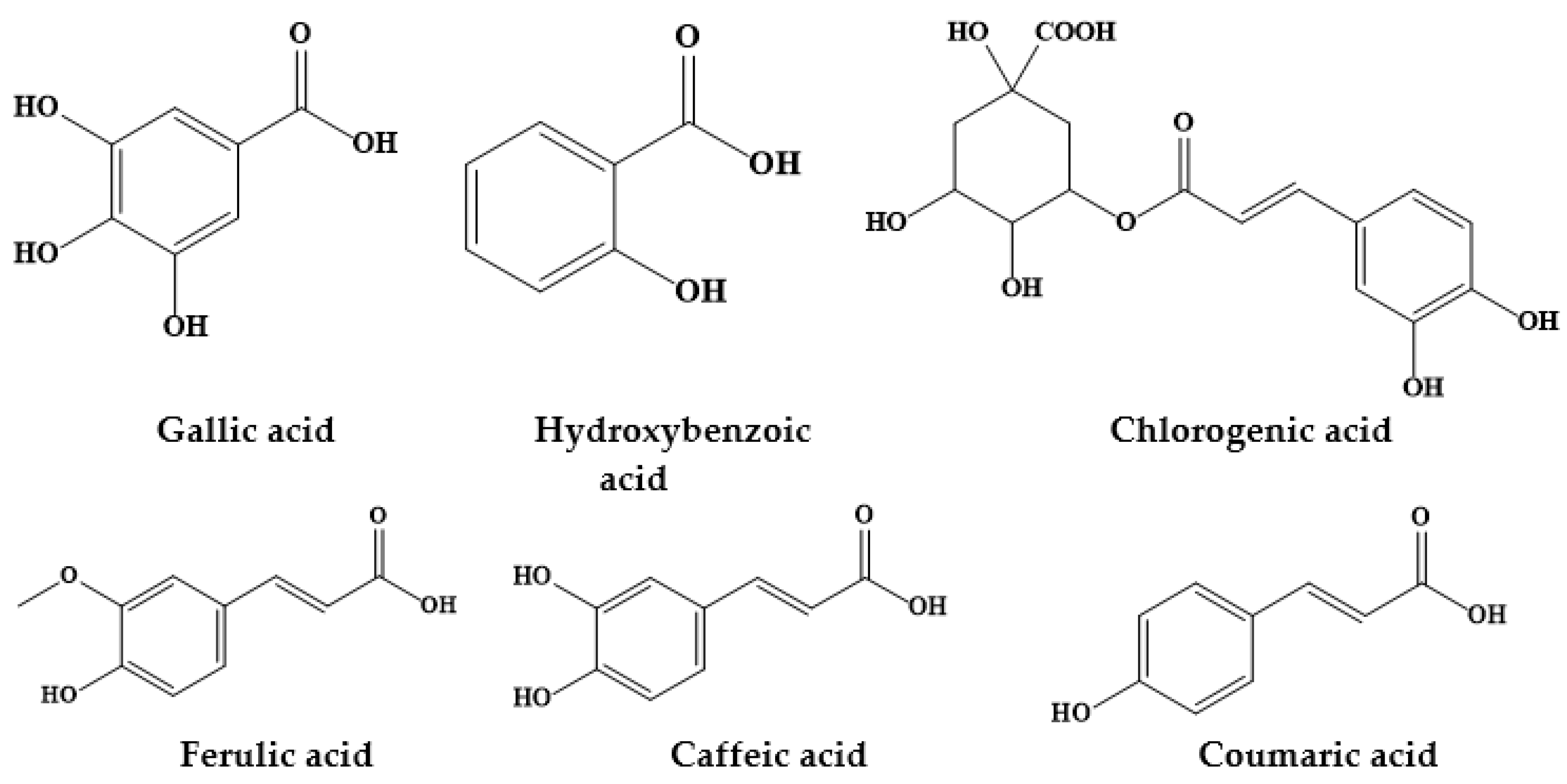 Biomolecules 09 00777 g003