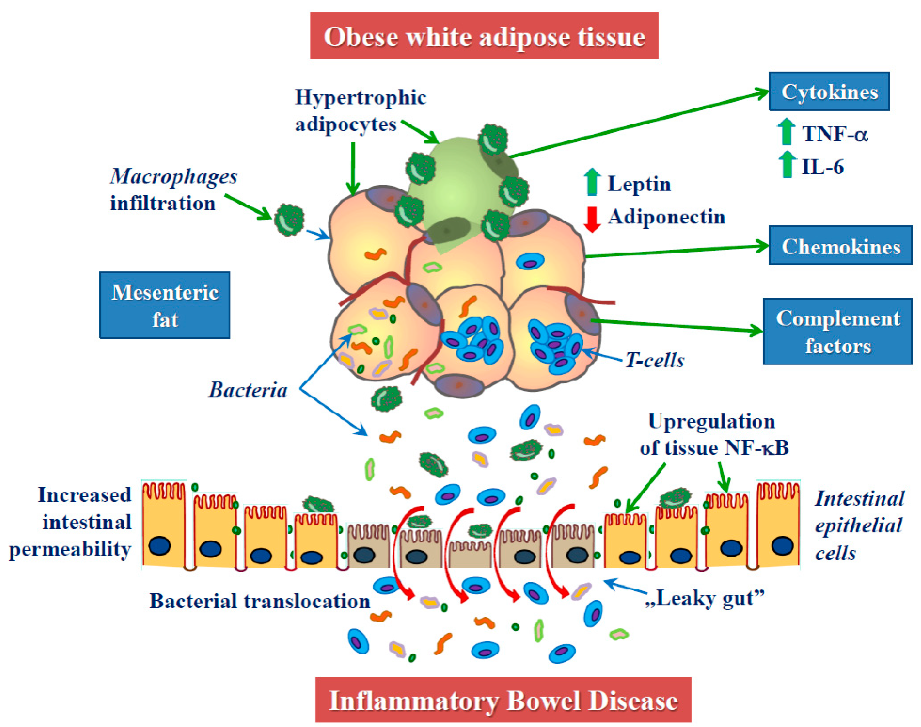 Biomolecules 09 00780 g001 Biomolecules 09 00780 g001