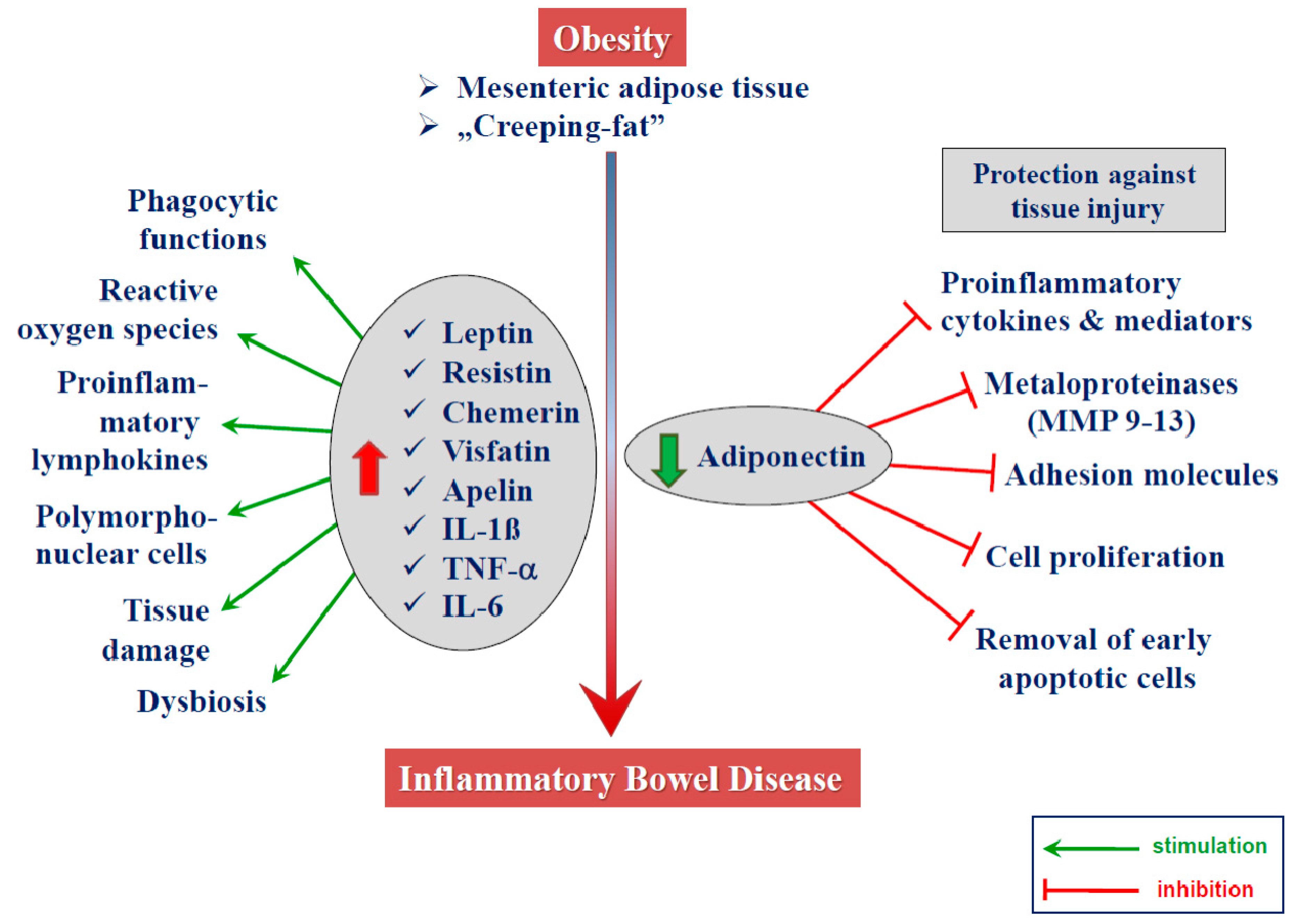 Biomolecules 09 00780 g003 Biomolecules 09 00780 g003
