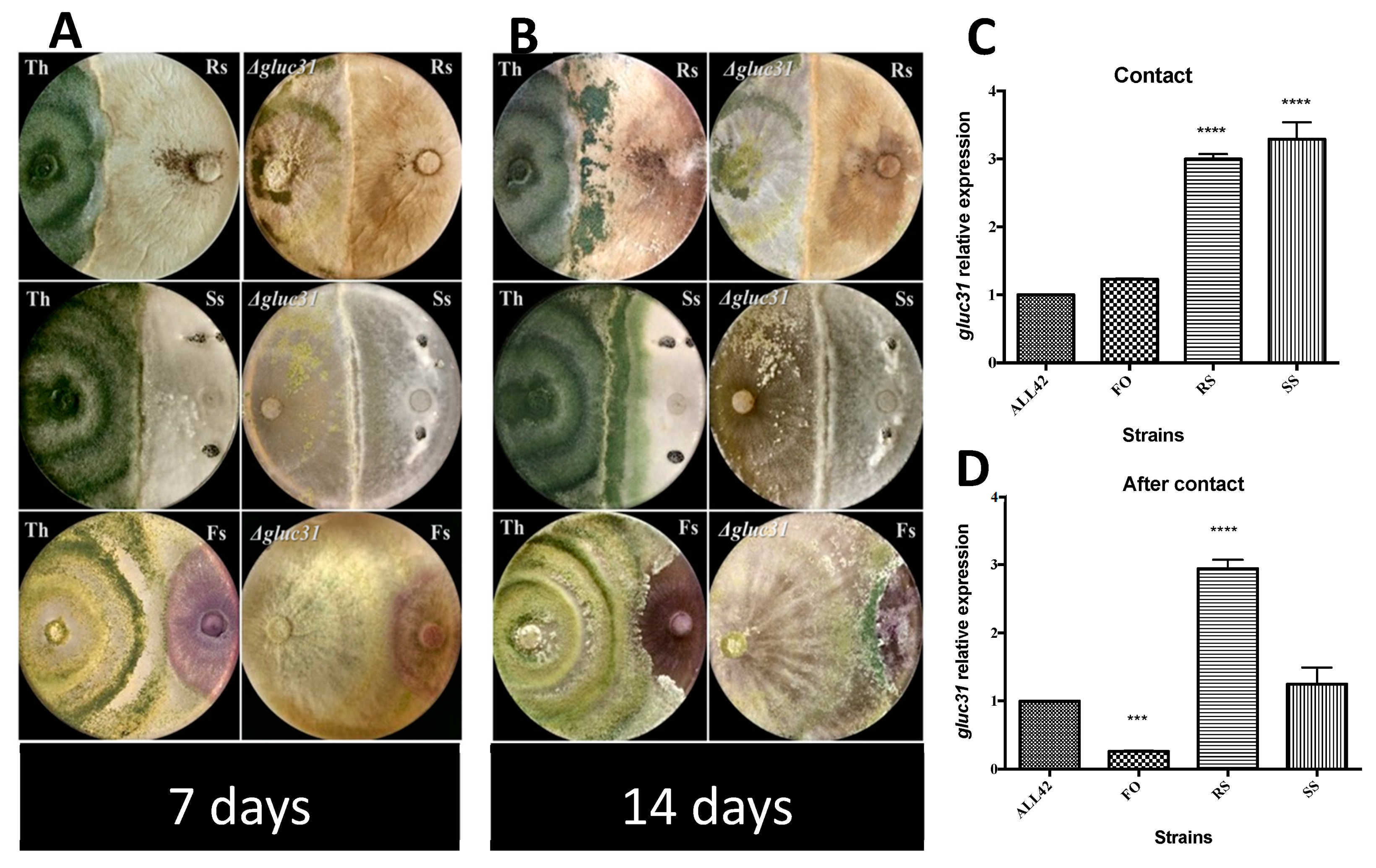 Biomolecules 09 00781 g005 Biomolecules 09 00781 g005