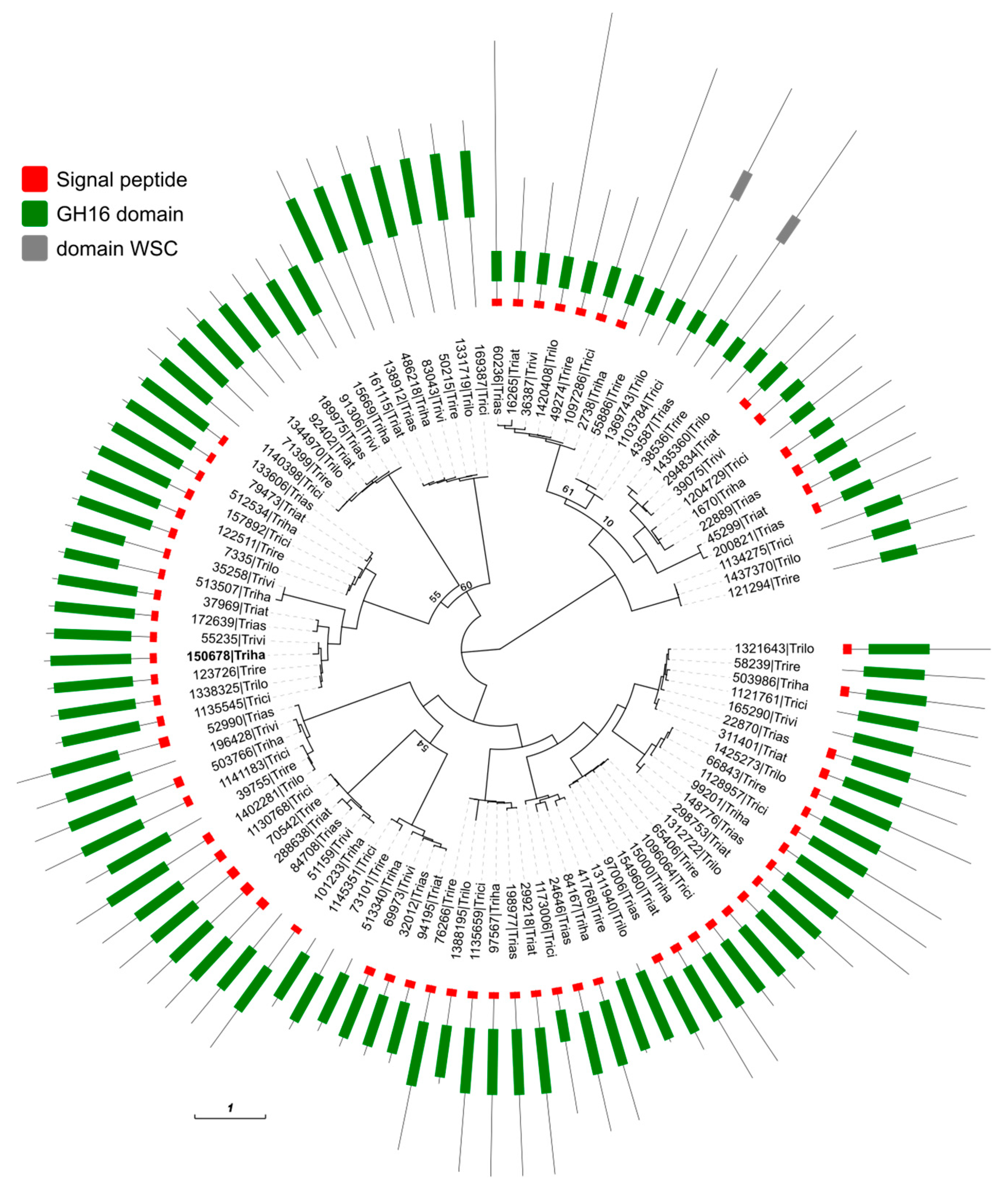 Biomolecules 09 00781 g007 Biomolecules 09 00781 g007