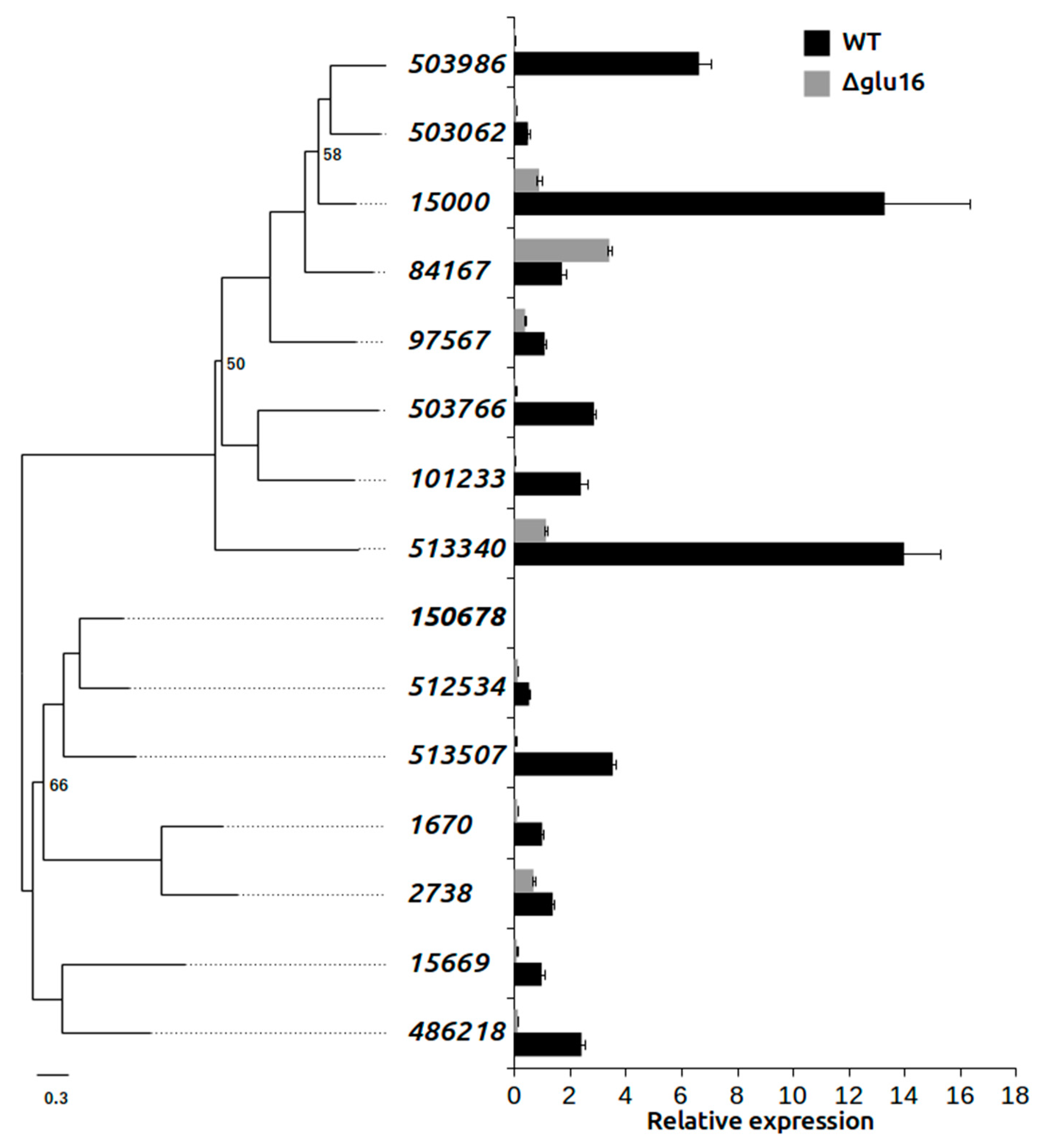 Biomolecules 09 00781 g008 Biomolecules 09 00781 g008