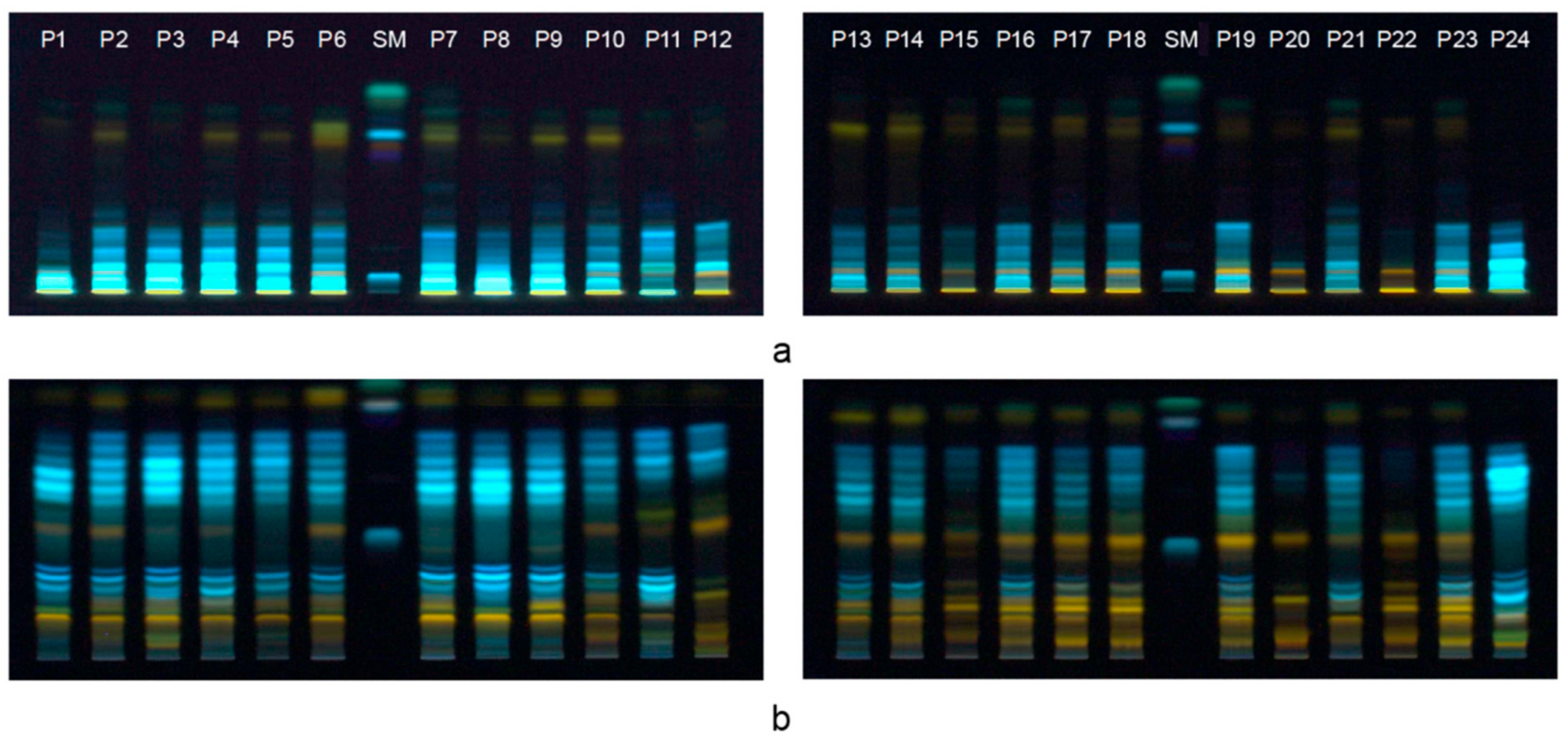 Biomolecules 09 00783 g001