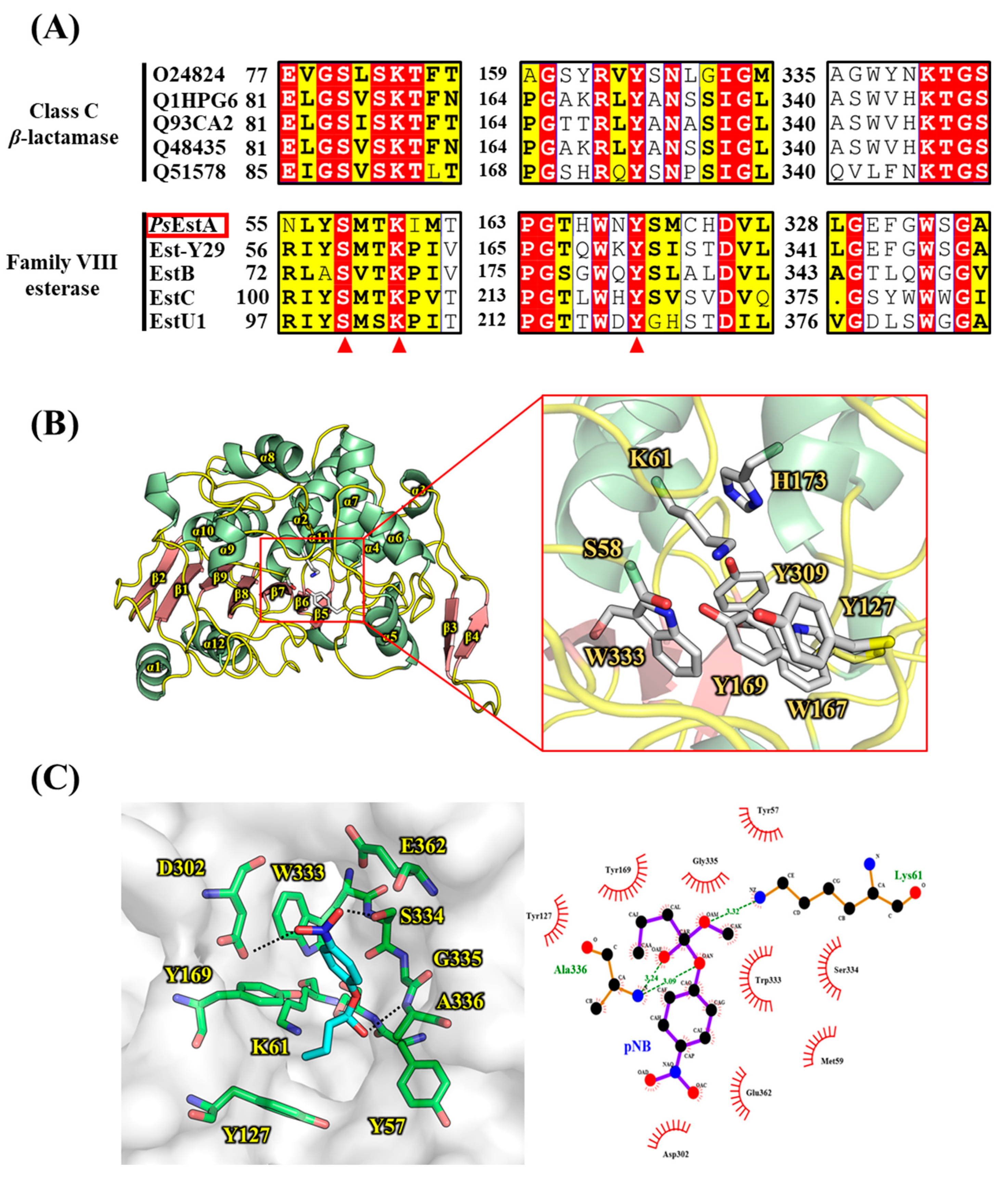 Biomolecules 09 00786 g002