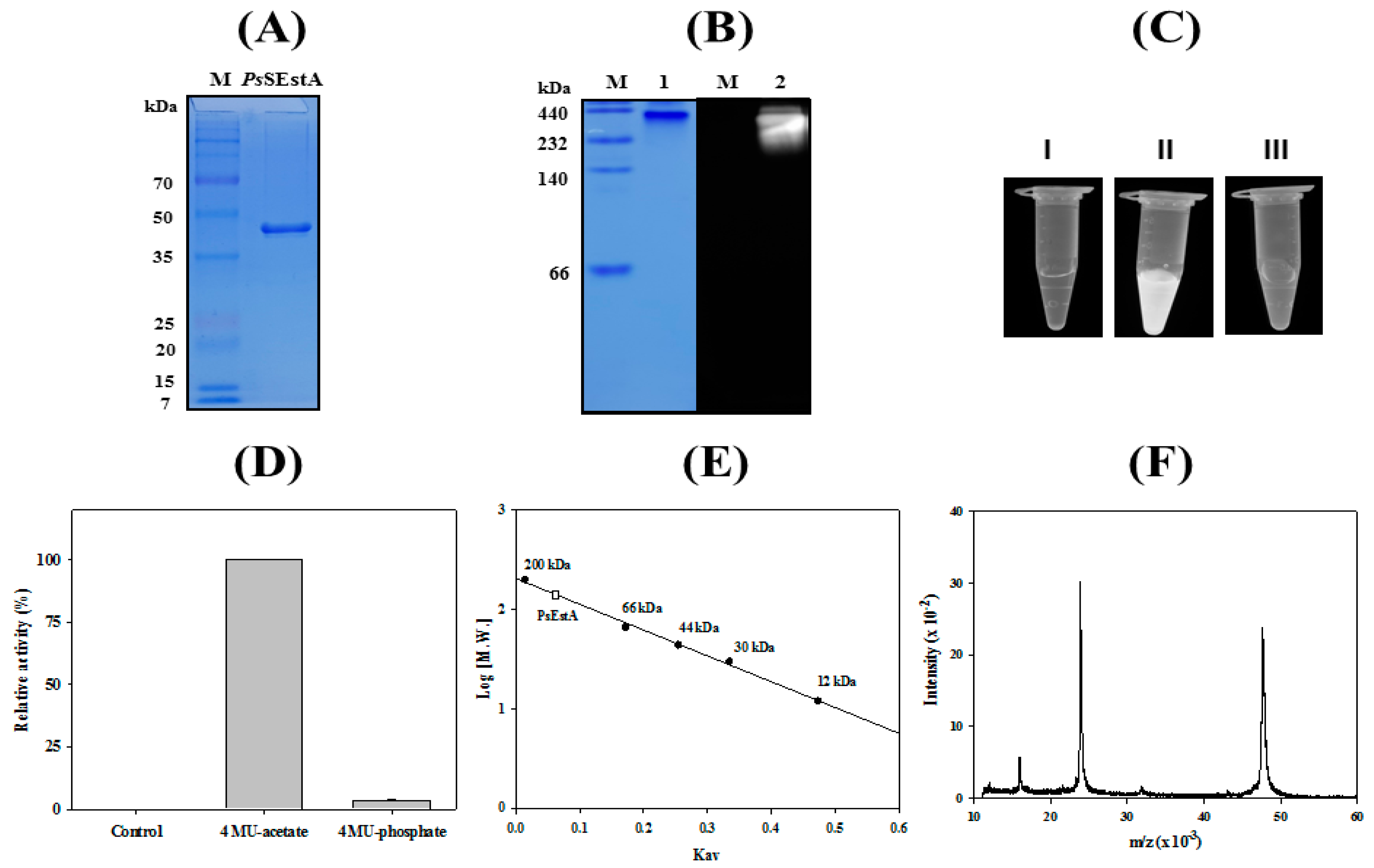 Biomolecules 09 00786 g004