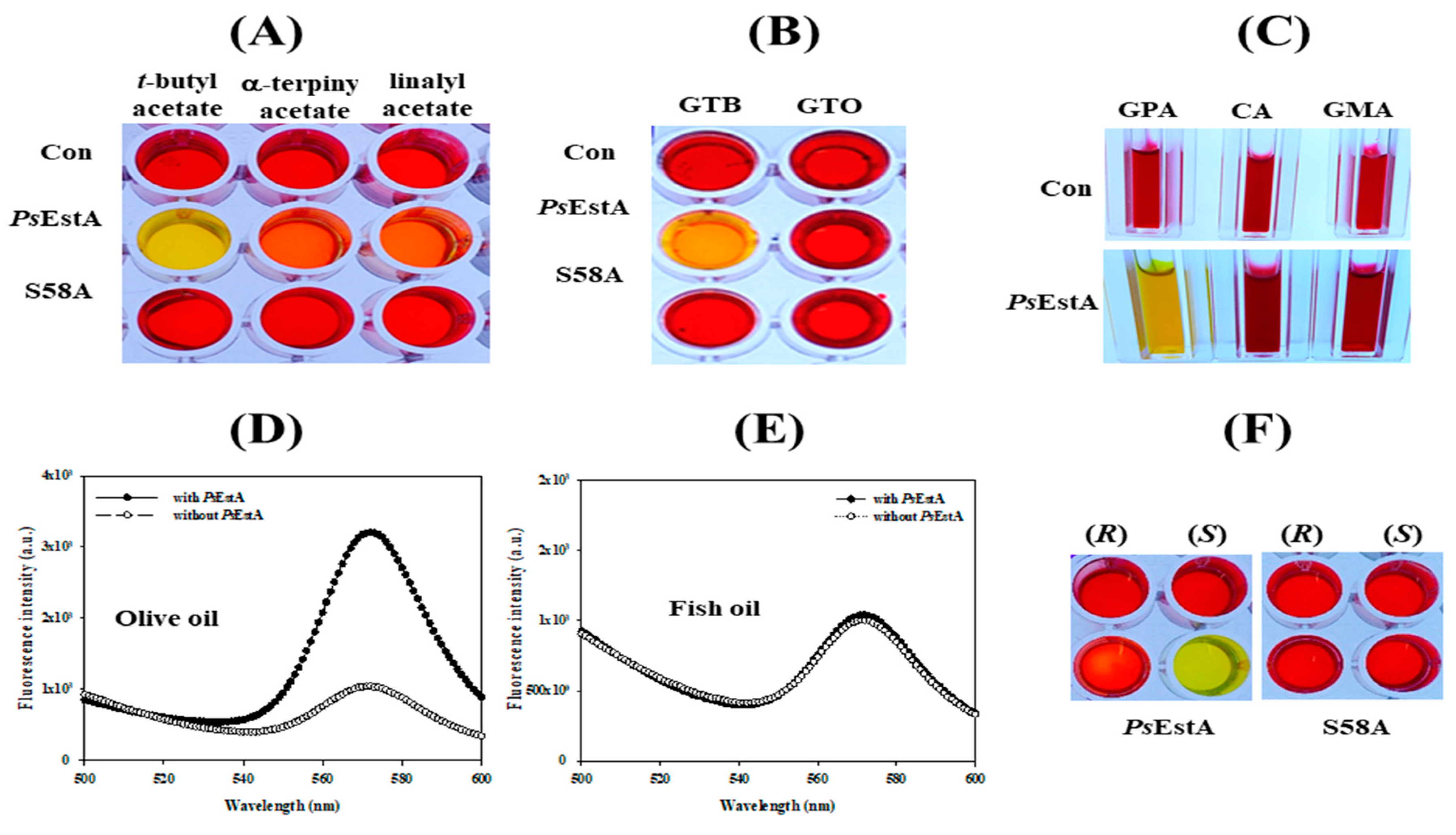 Biomolecules 09 00786 g006