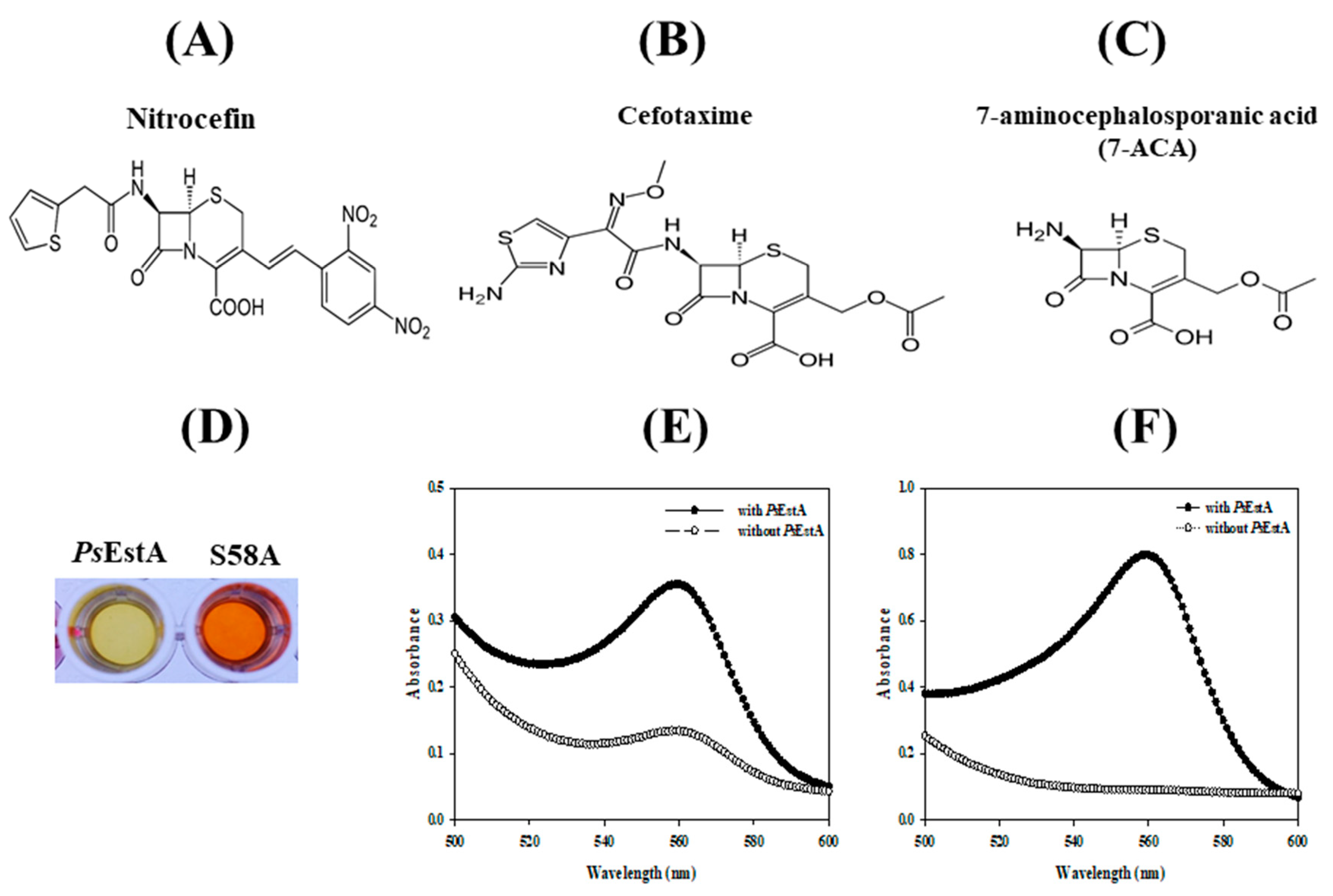 Biomolecules 09 00786 g007