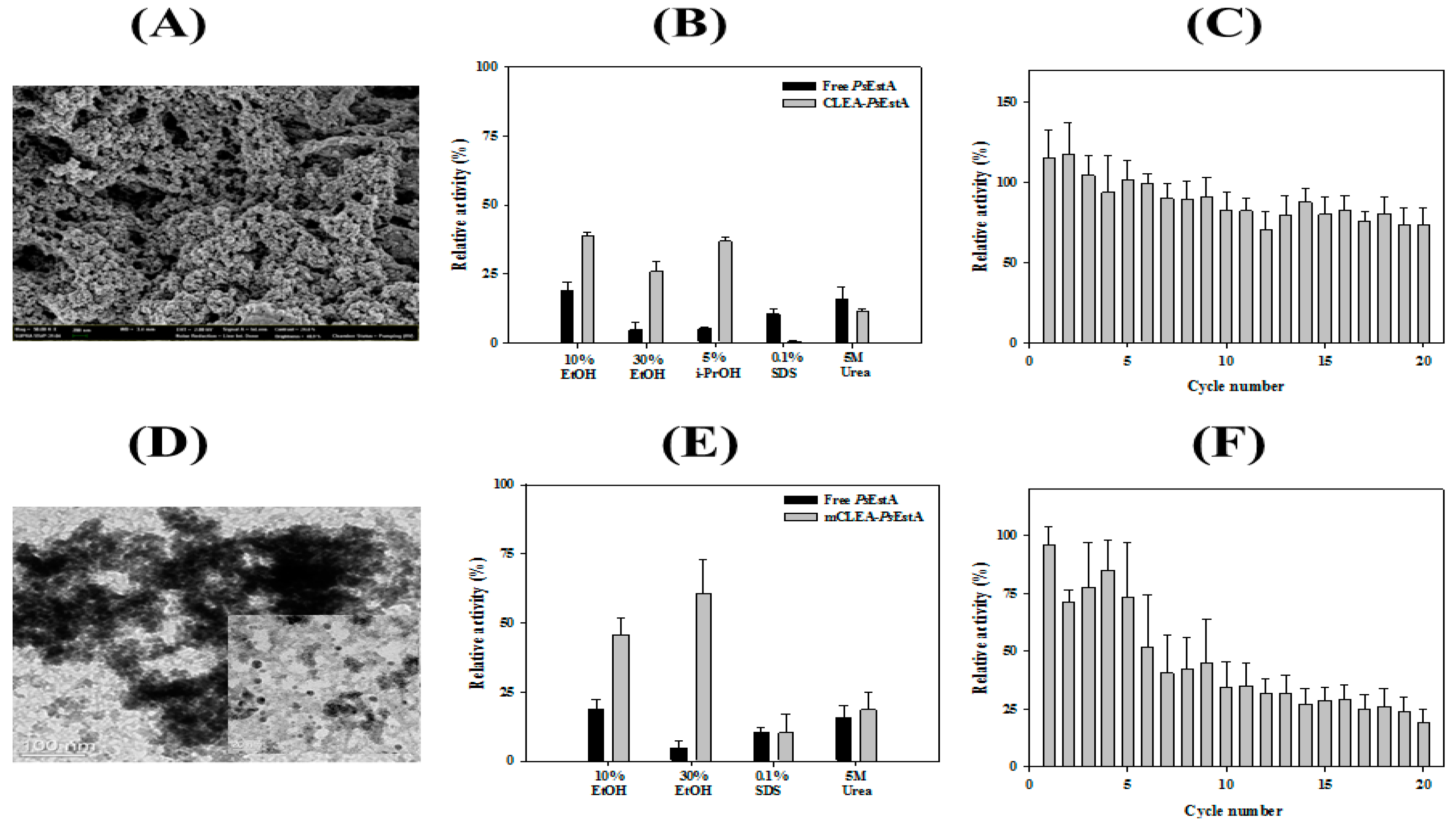 Biomolecules 09 00786 g008