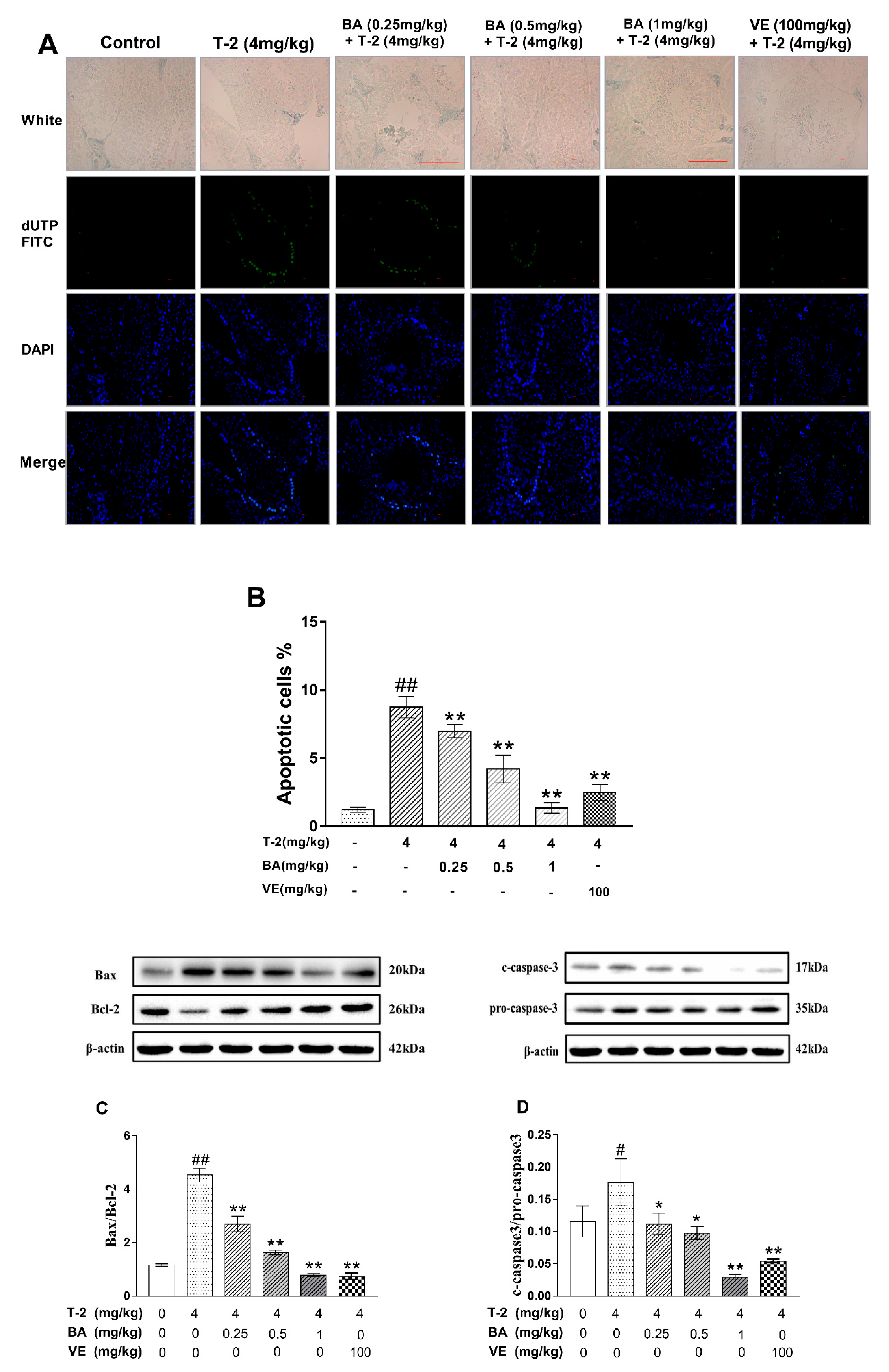 Biomolecules 09 00787 g003