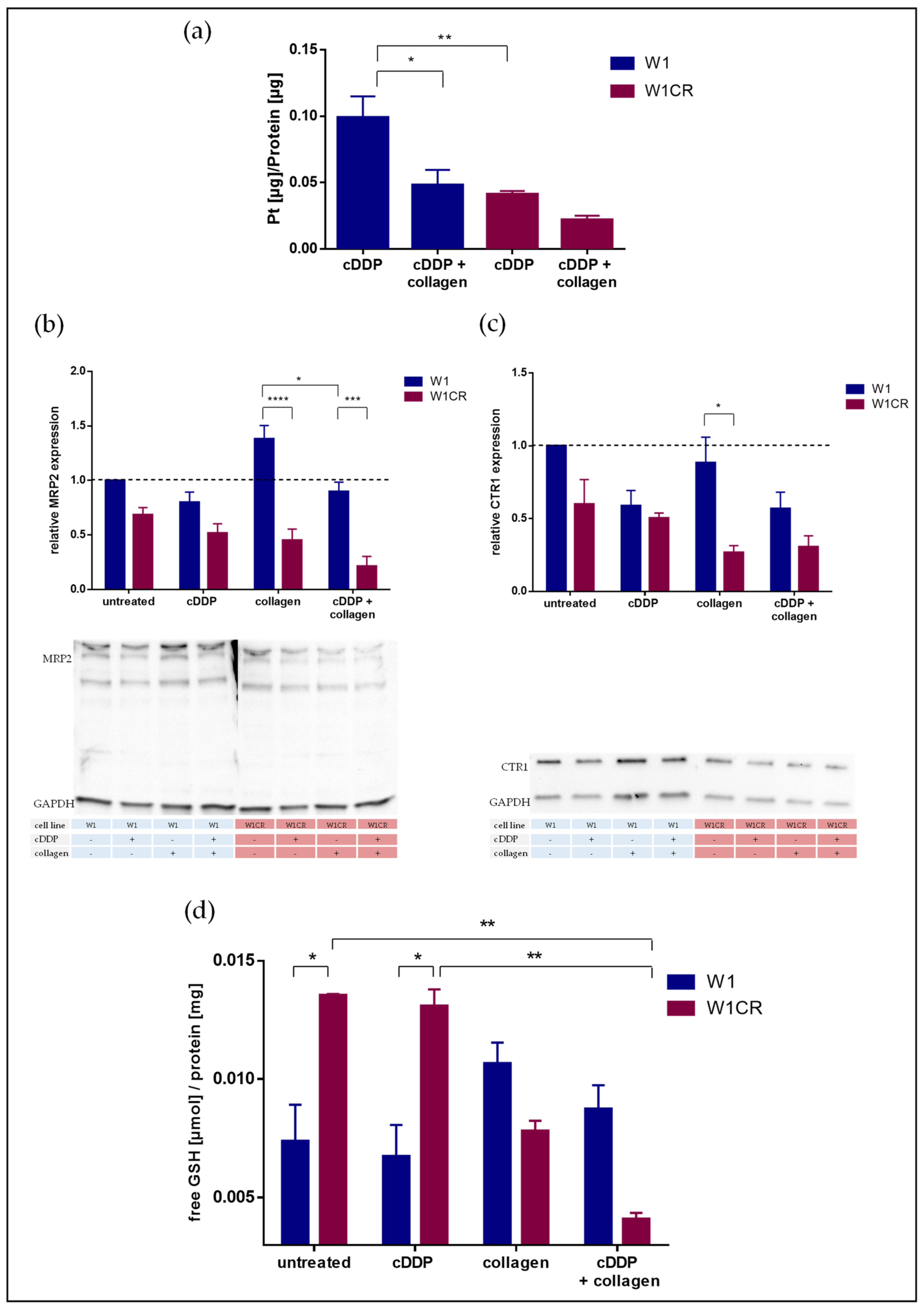 Biomolecules 09 00788 g002