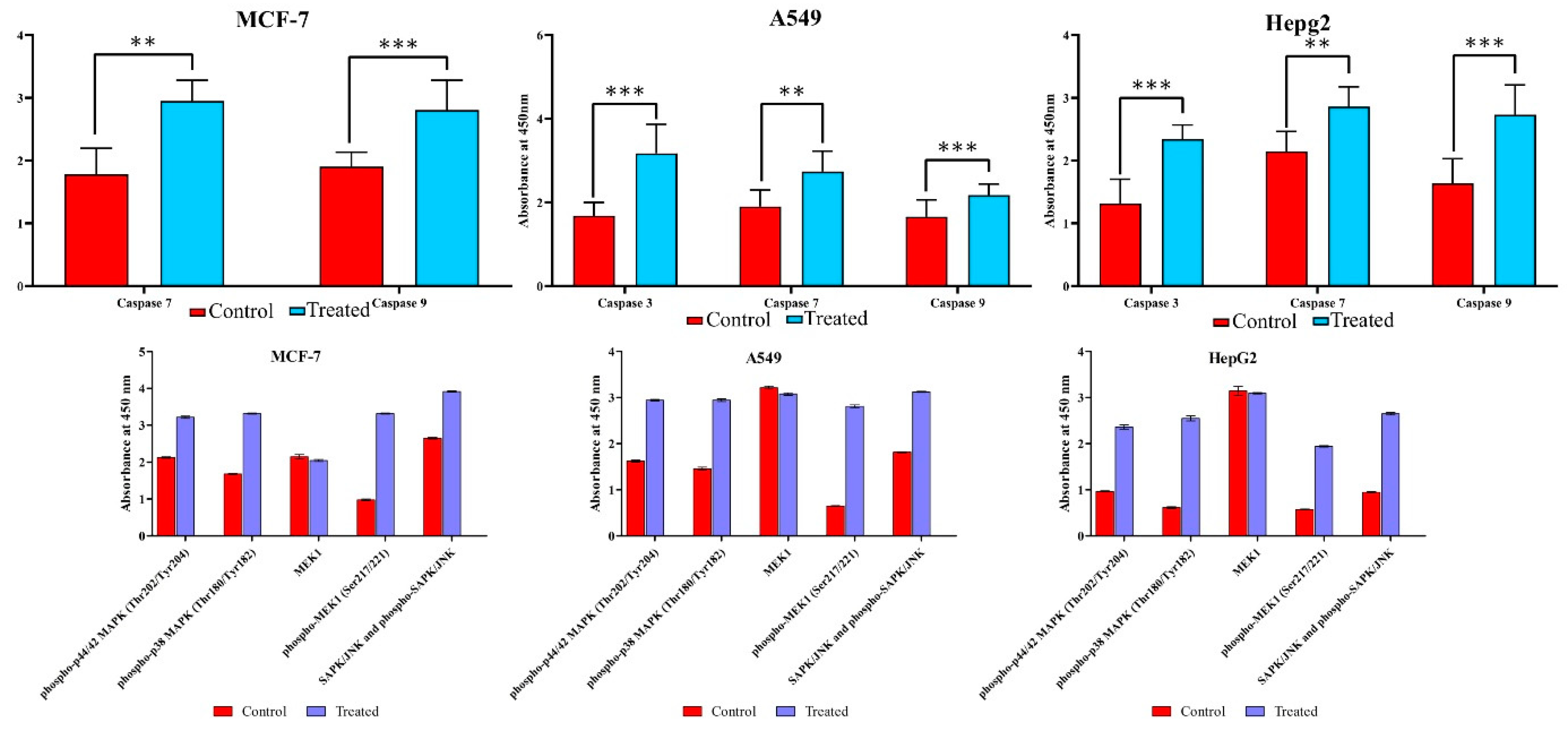 Biomolecules 09 00792 g004 Biomolecules 09 00792 g004