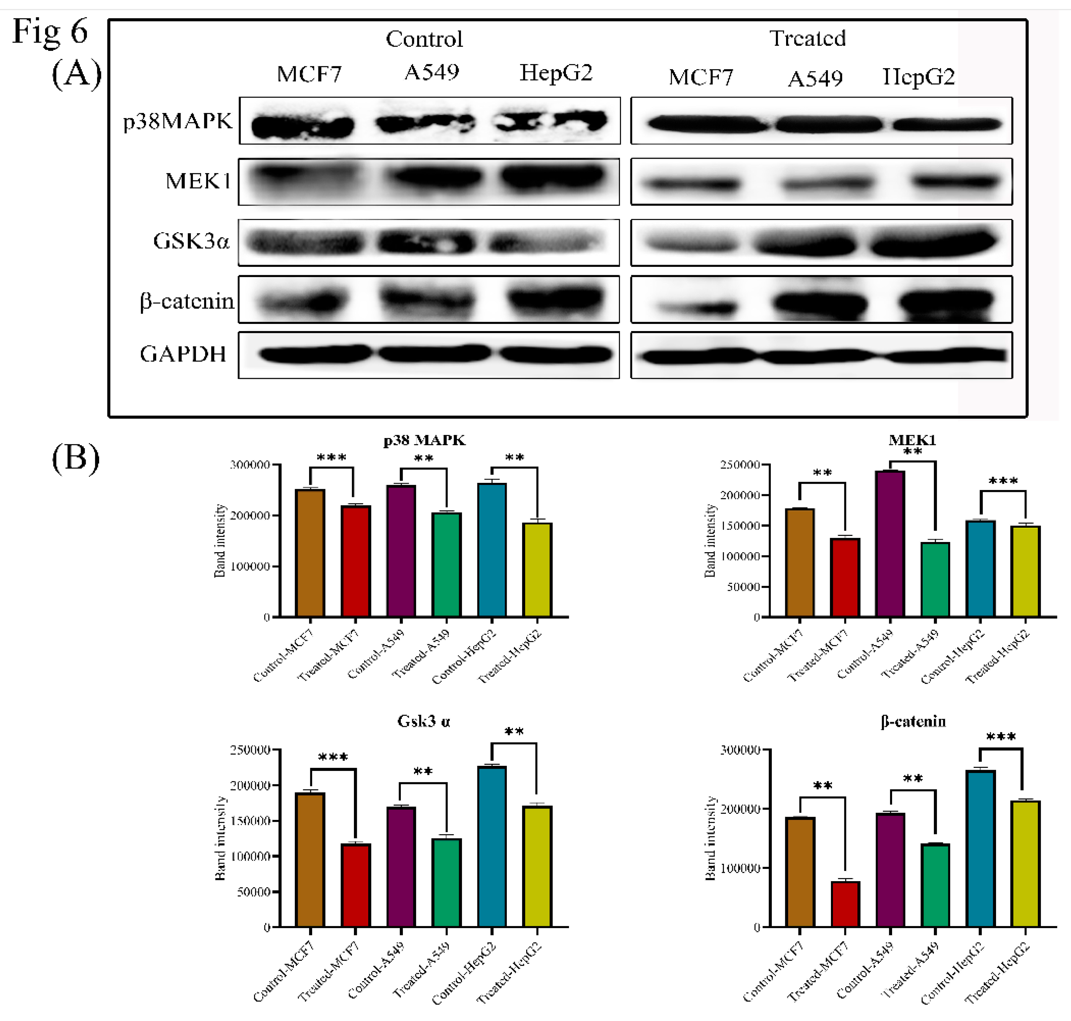Biomolecules 09 00792 g006 Biomolecules 09 00792 g006