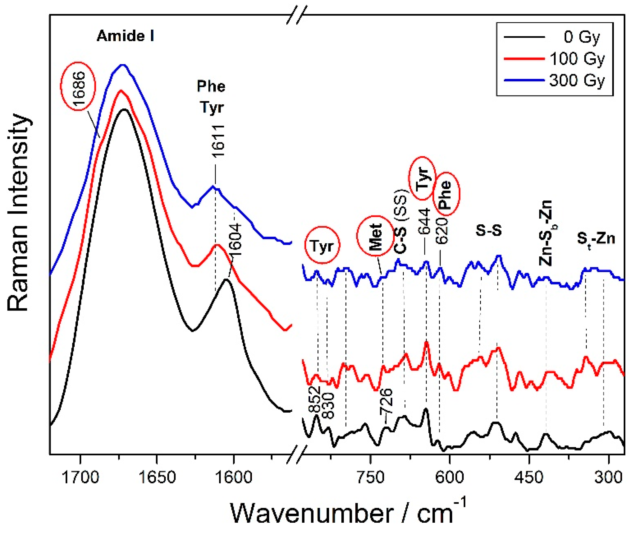 Biomolecules 09 00794 g003