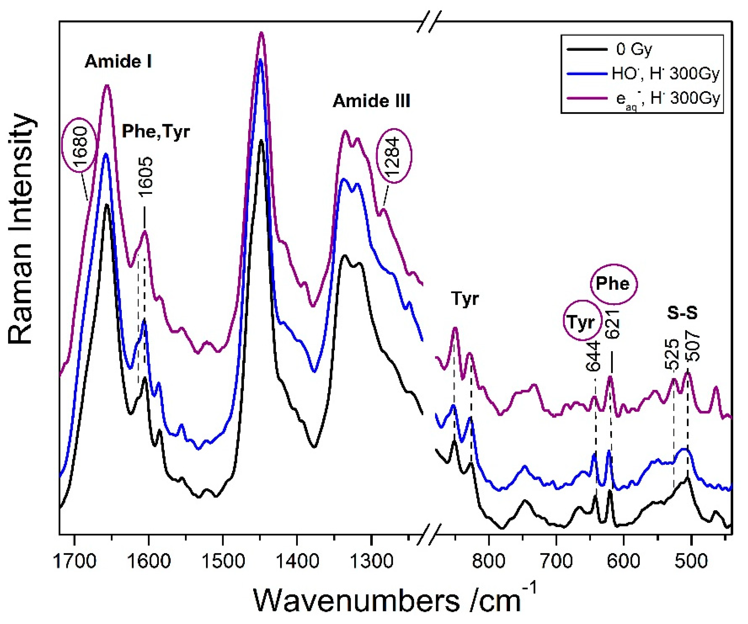 Biomolecules 09 00794 g004