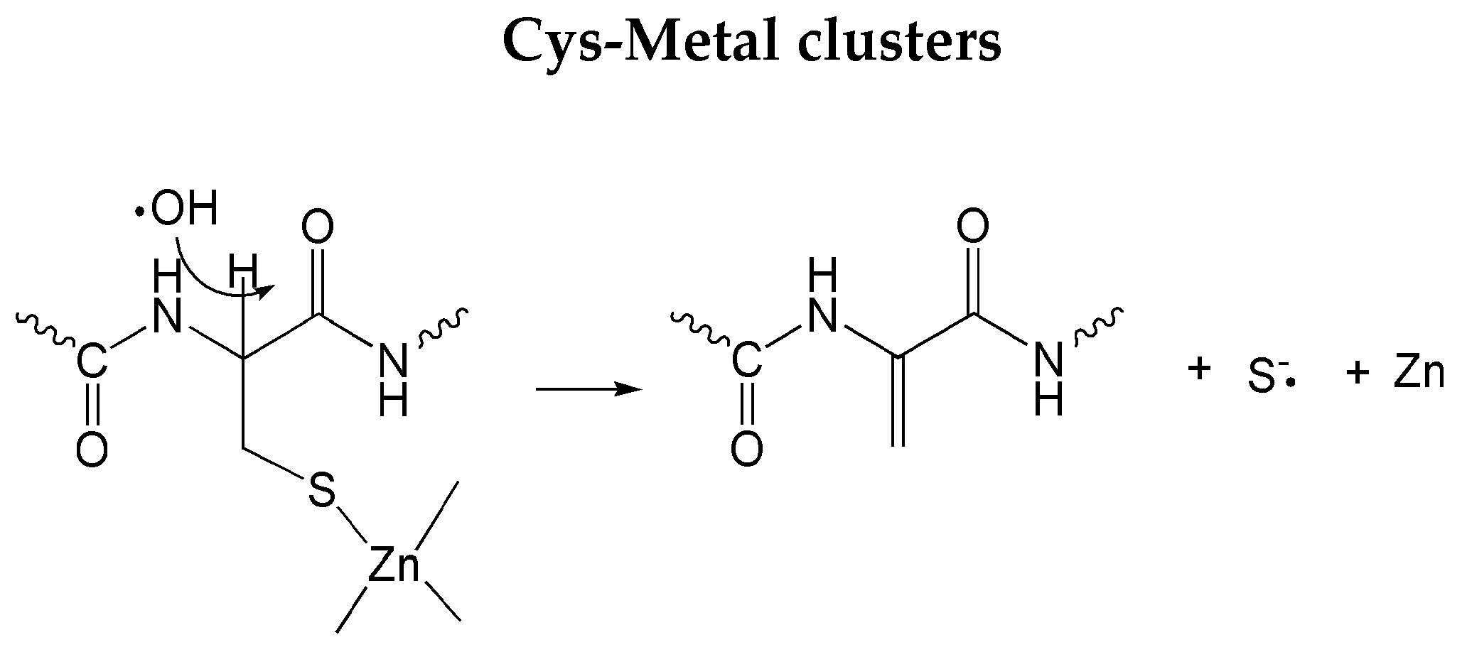 Biomolecules 09 00794 sch002