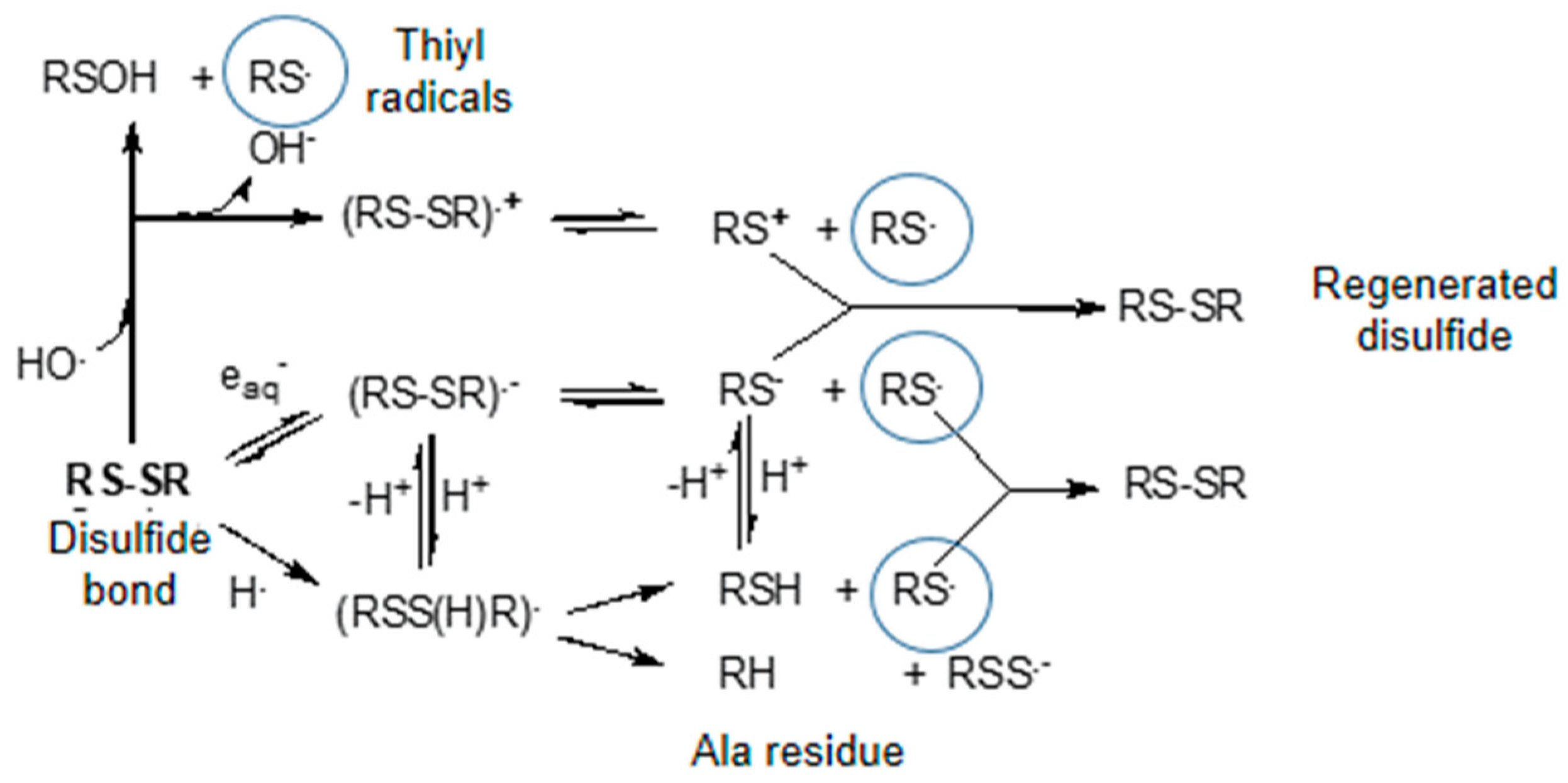Biomolecules 09 00794 sch003