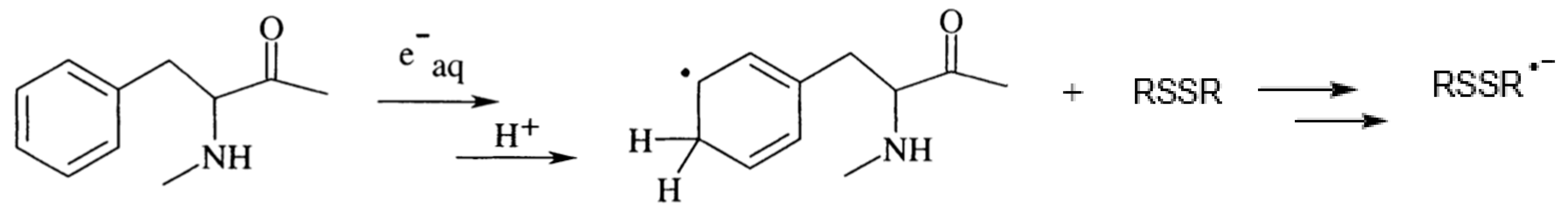 Biomolecules 09 00794 sch004