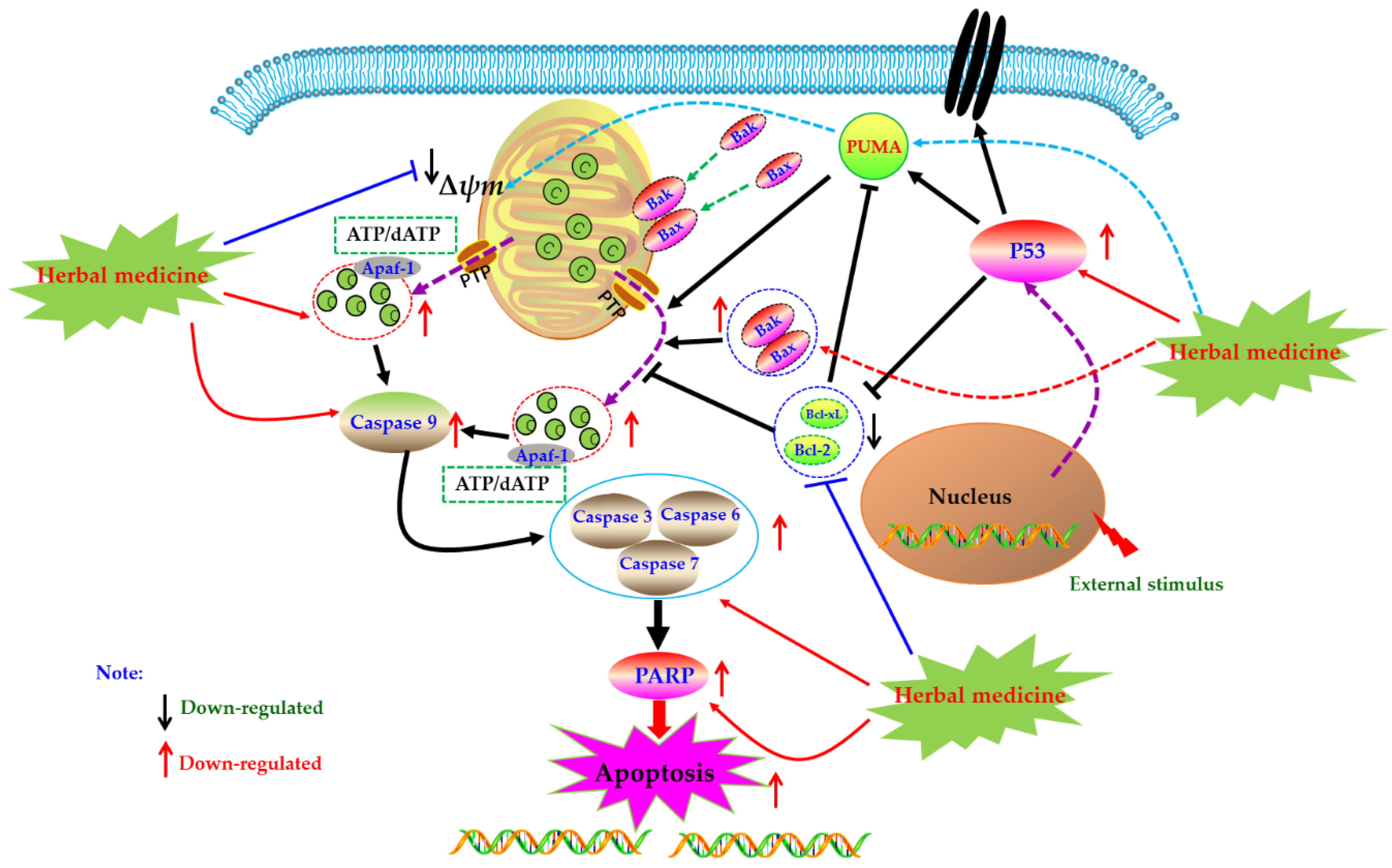 Biomolecules 09 00795 g002