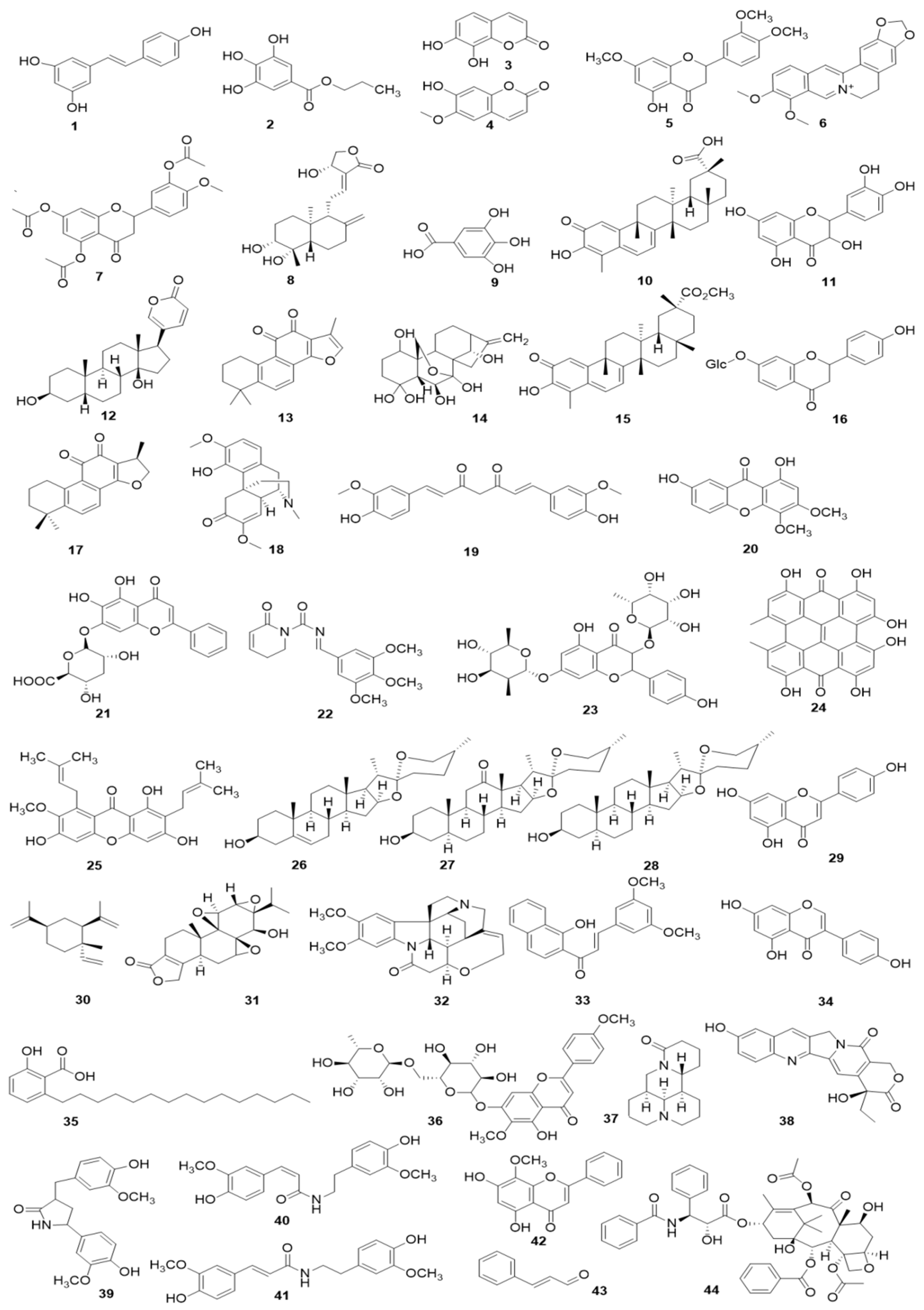 Biomolecules 09 00795 g007