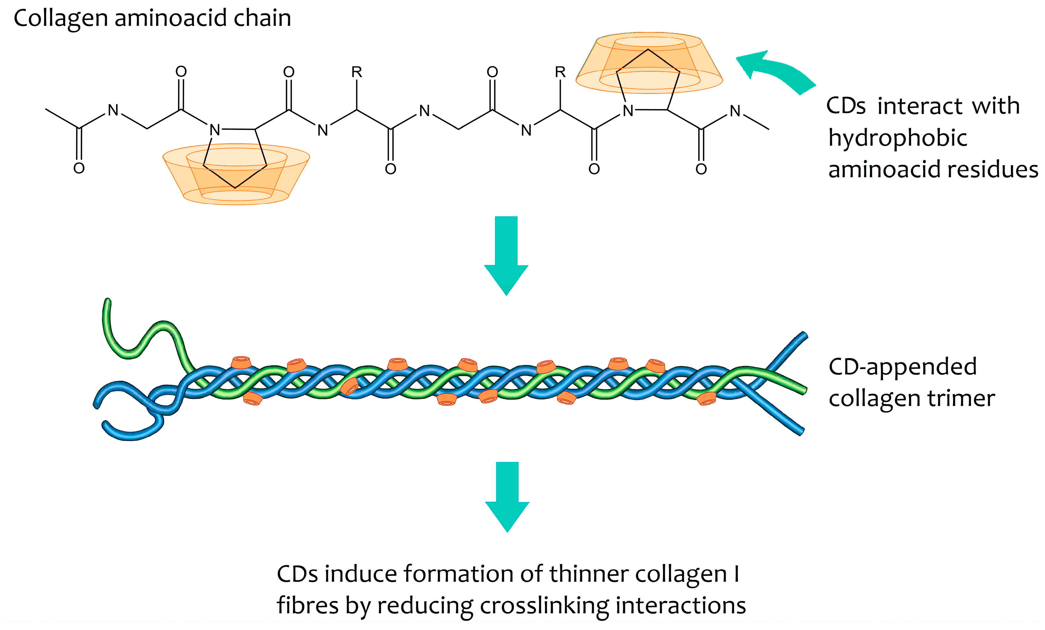 lån At deaktivere dygtige Biomolecules | Free Full-Text | Cyclodextrins: Emerging Medicines of the  New Millennium | HTML