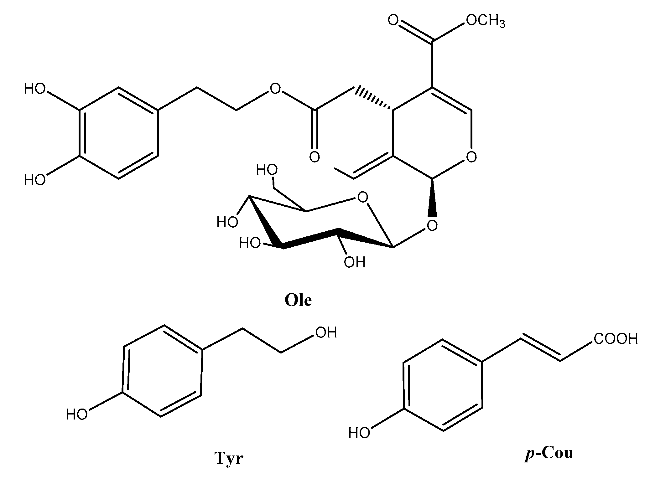 Biomolecules 09 00802 g001 Biomolecules 09 00802 g001