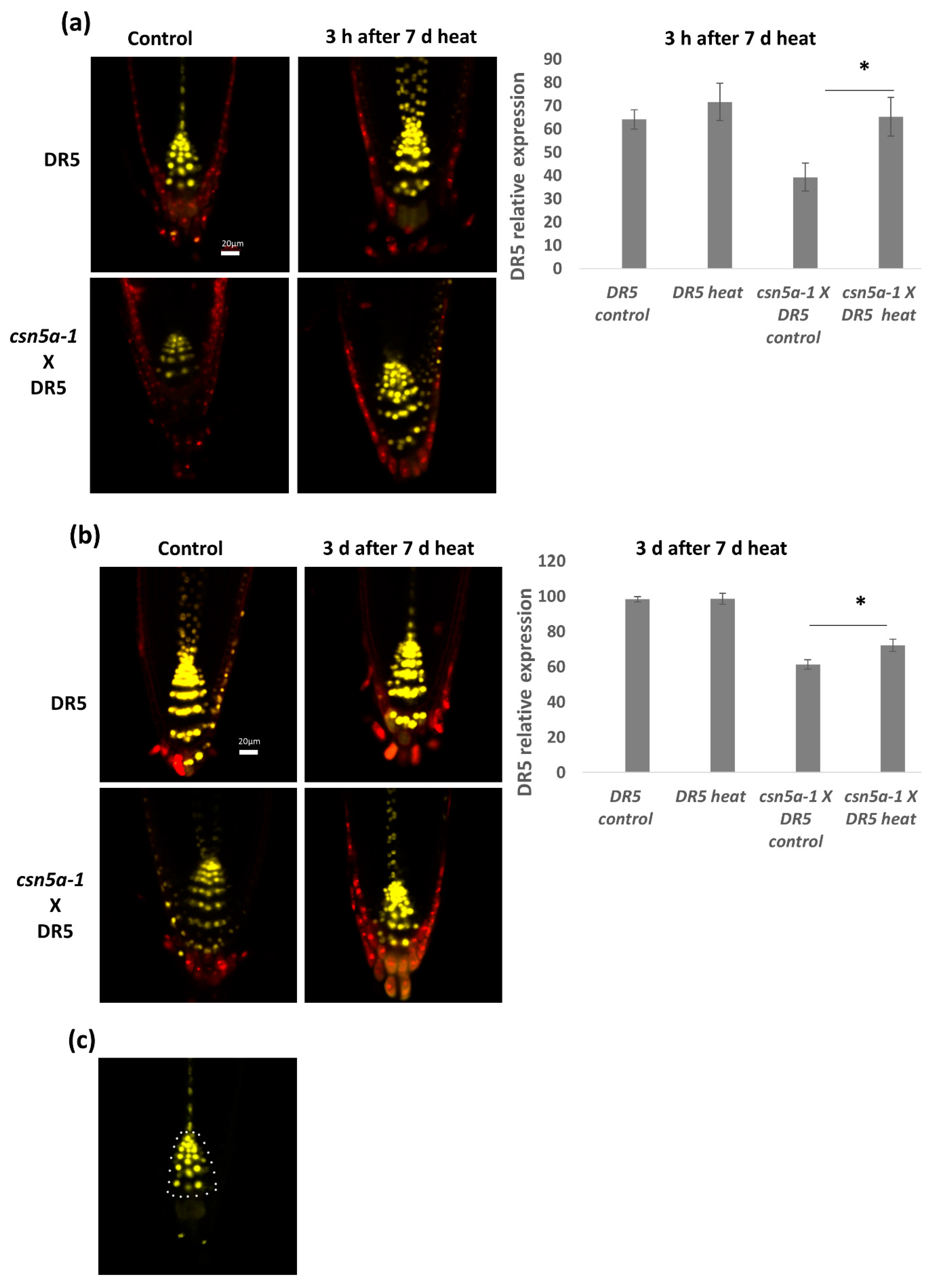 Biomolecules 09 00805 g006 Biomolecules 09 00805 g006