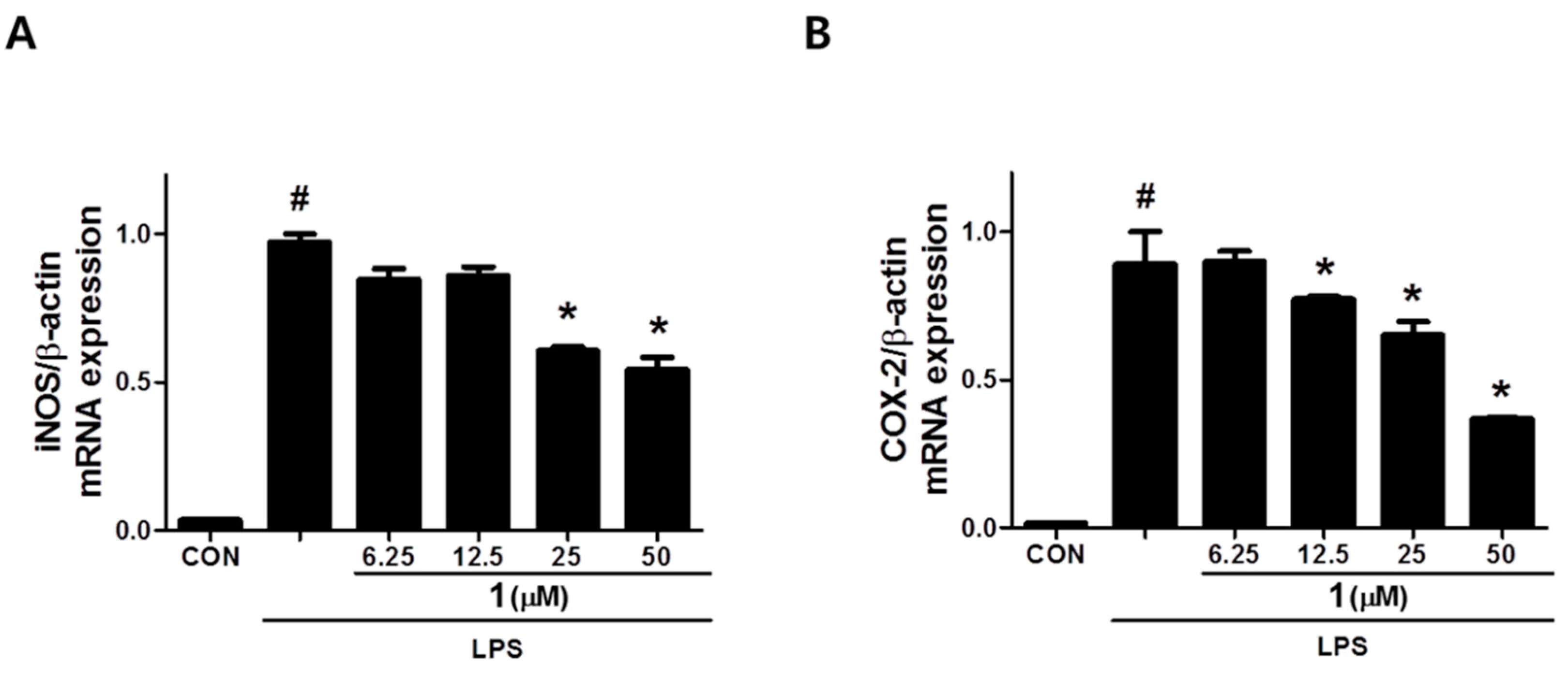 Biomolecules 09 00806 g006 Biomolecules 09 00806 g006