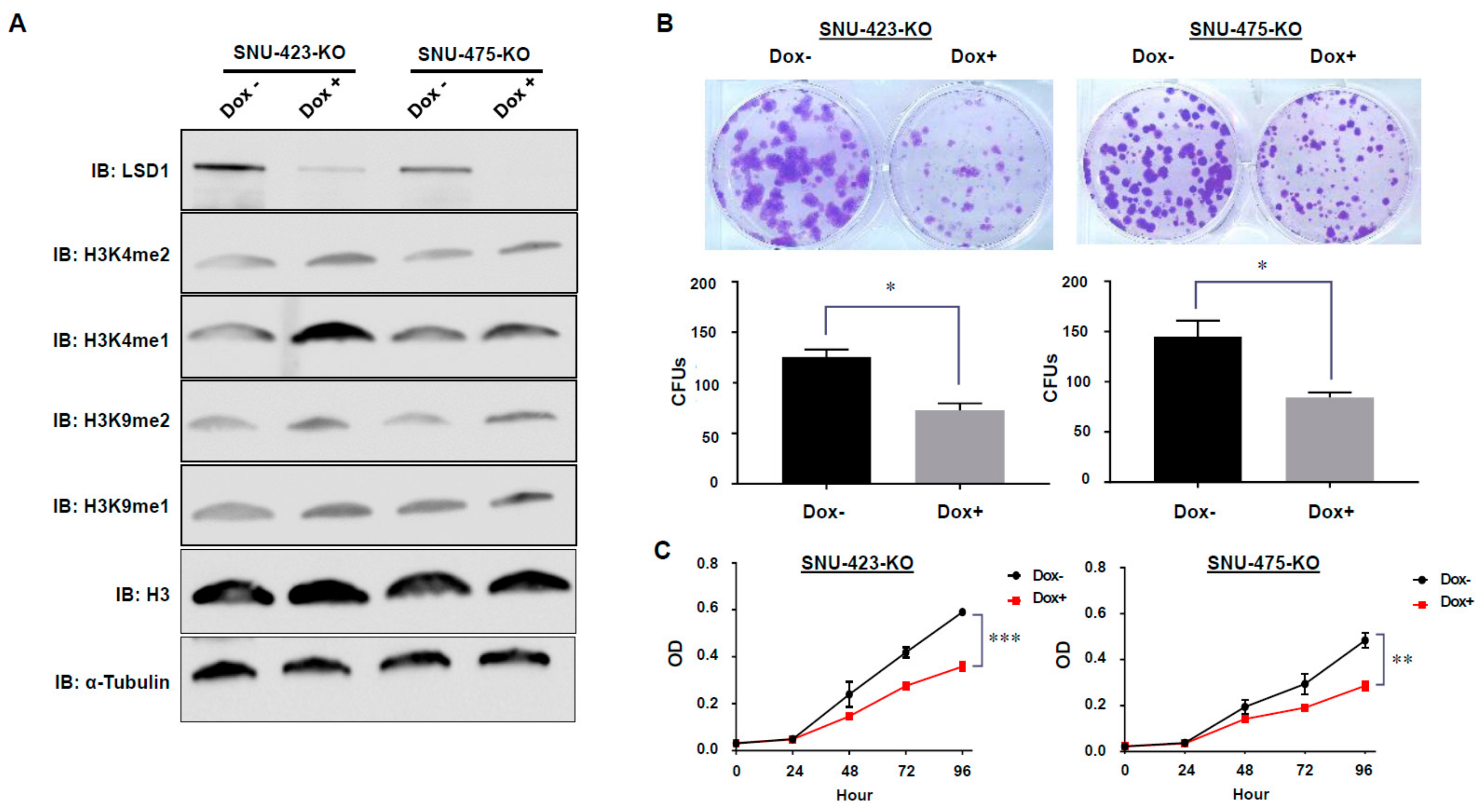 Biomolecules 09 00810 g002 Biomolecules 09 00810 g002