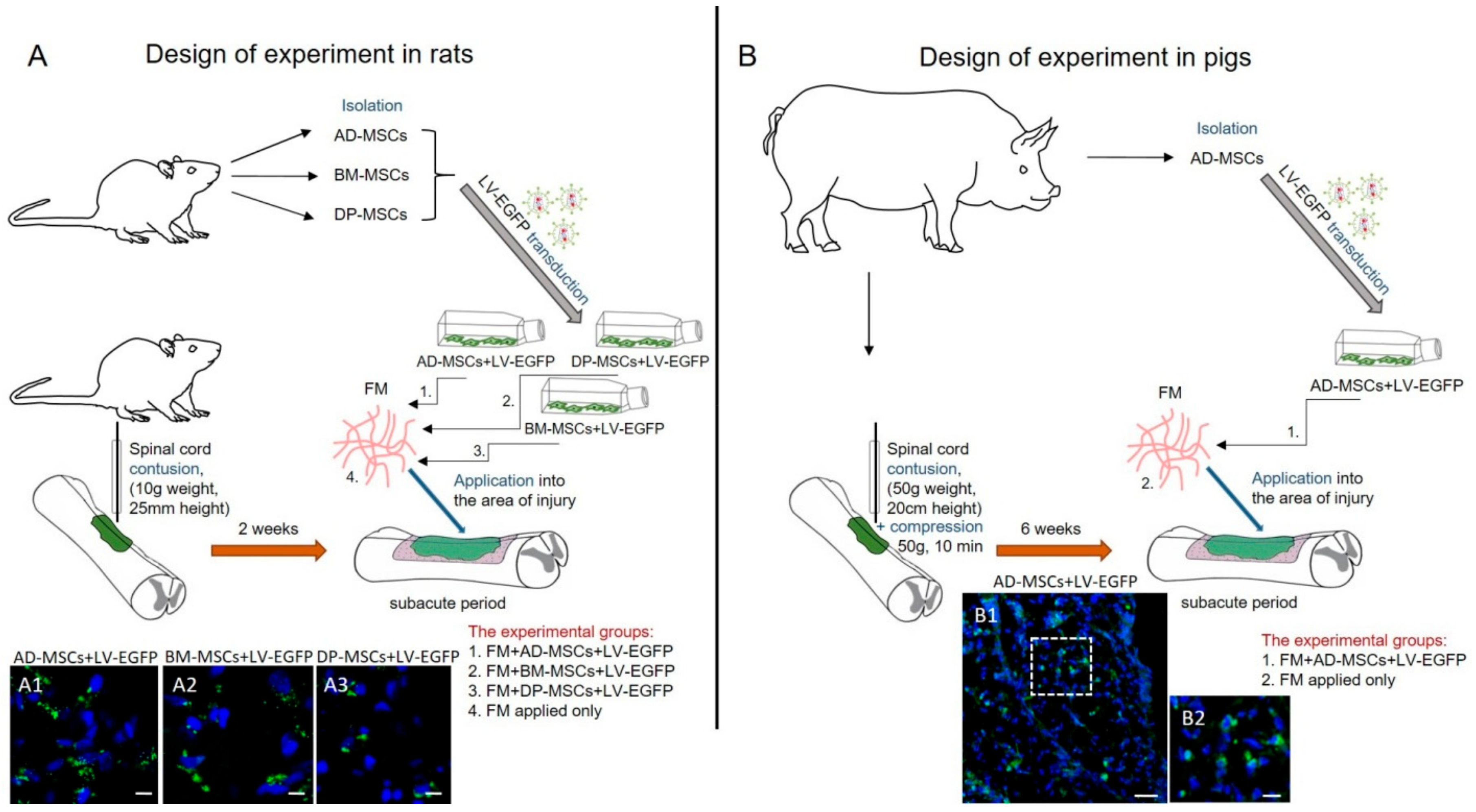 Biomolecules 09 00811 g001